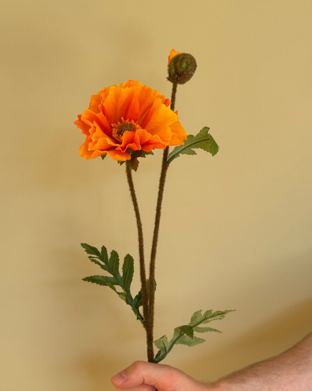 Valmue Orange 64 - cm