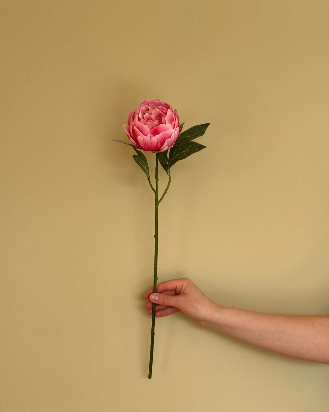 Peony Pink - 55 cm