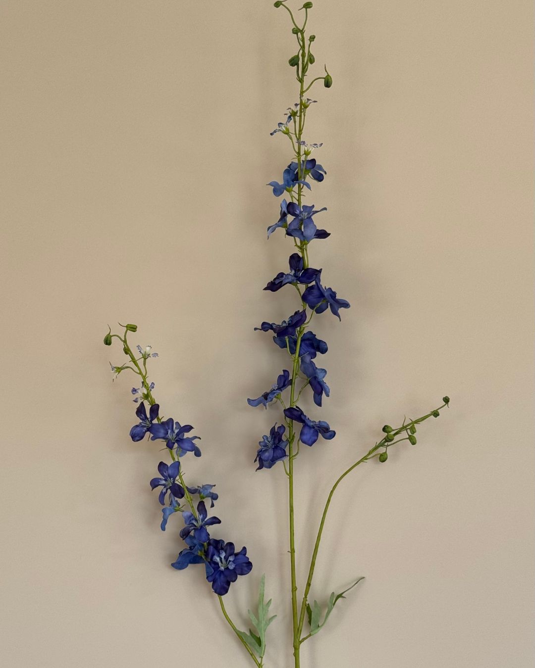 Ridderspore - Blå - 122 cm