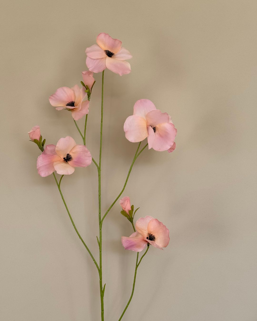 Stedmoderblomst - Lyserød/Peach 103 cm