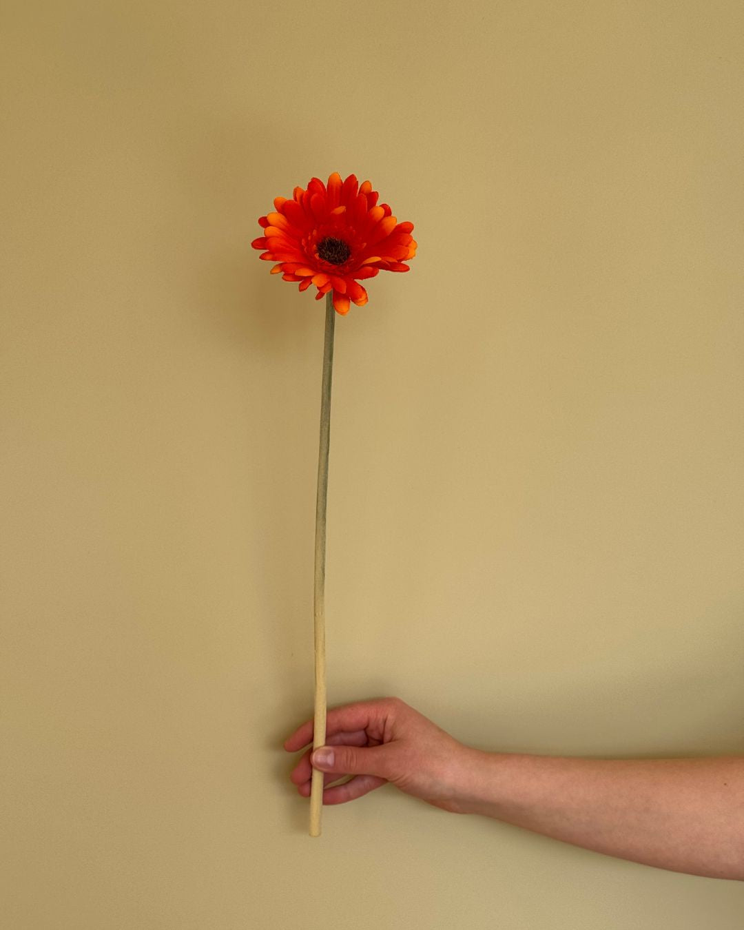 Gerbera Orange - 50 cm