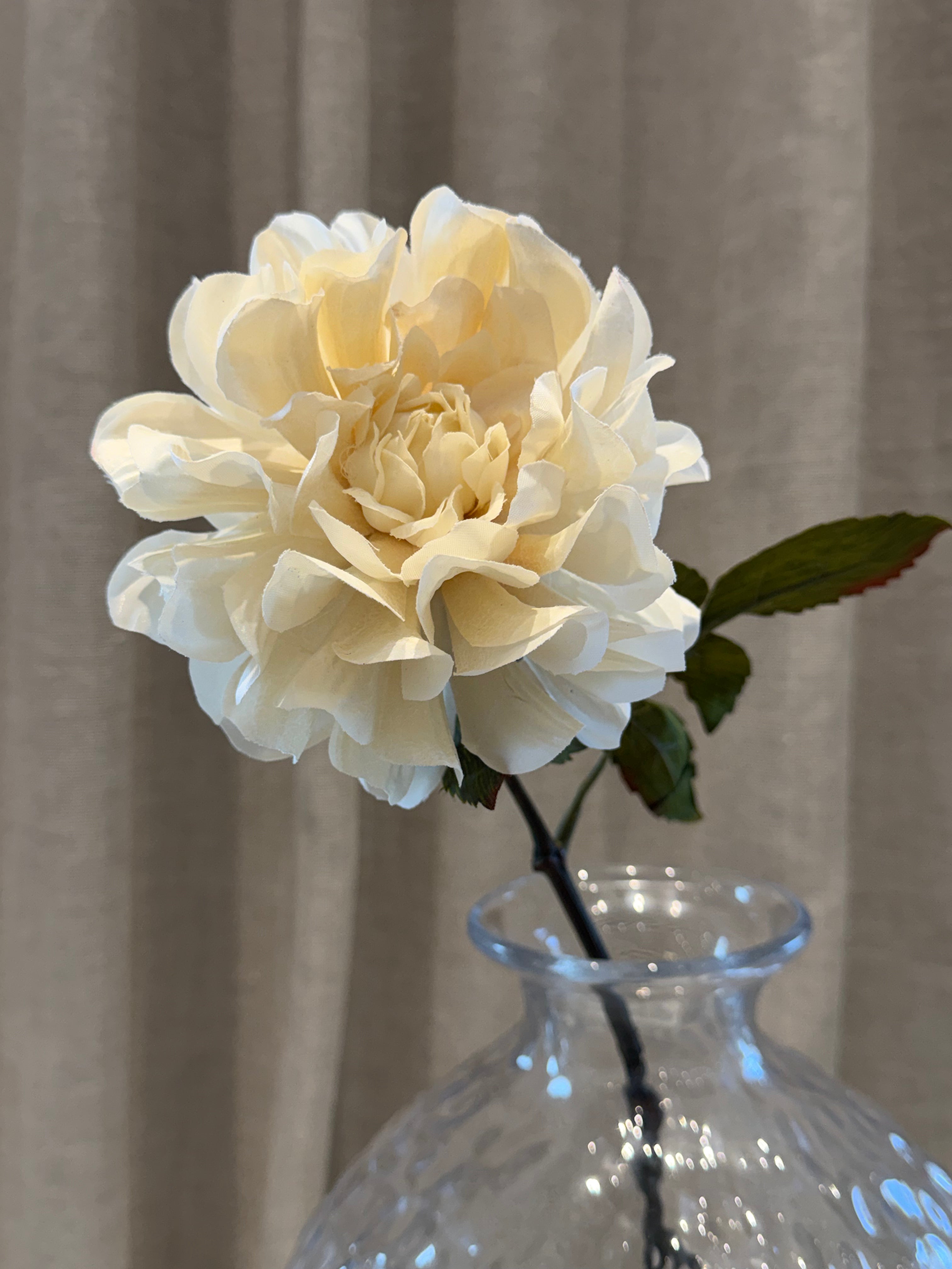 Dahlia Creme 57cm