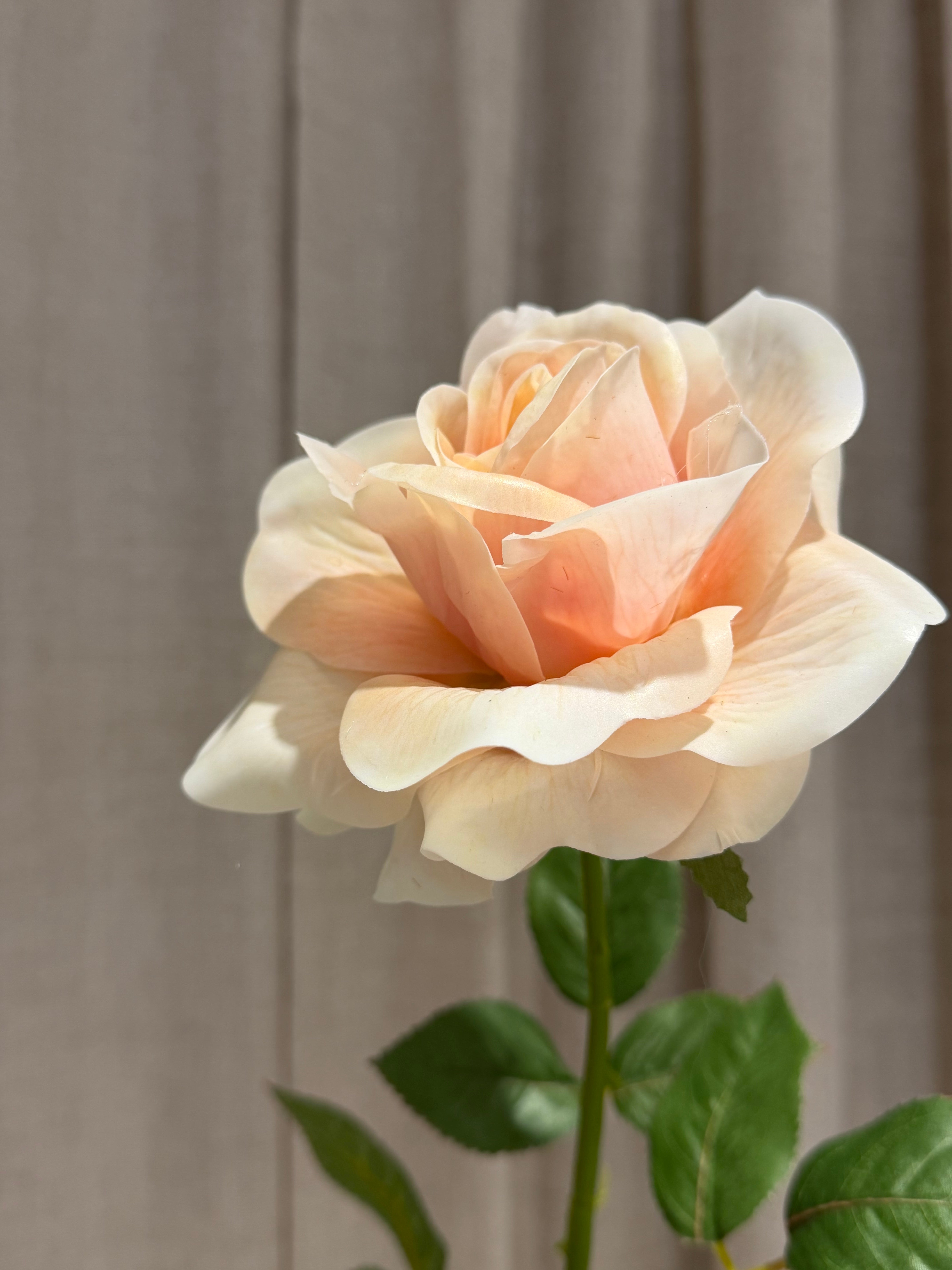 Rose med real touch 70cm