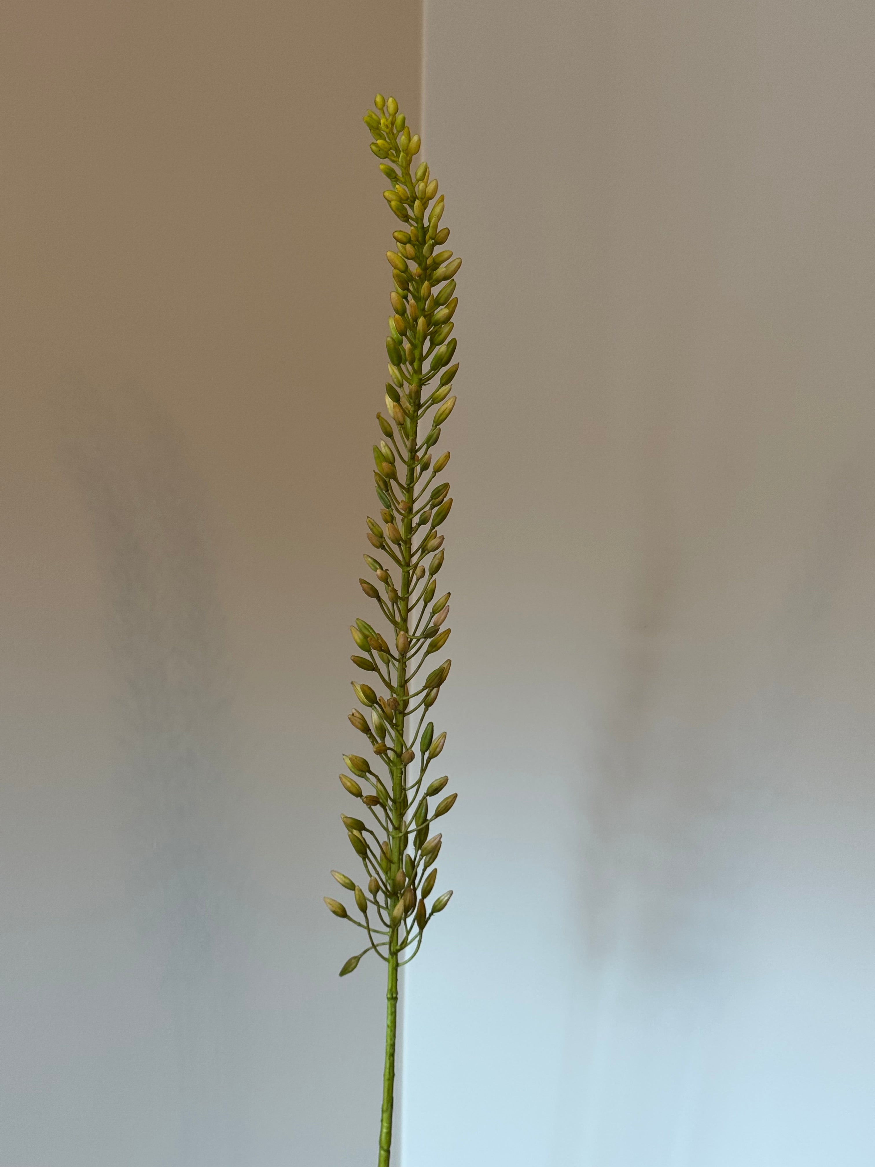 Deluxe stilk