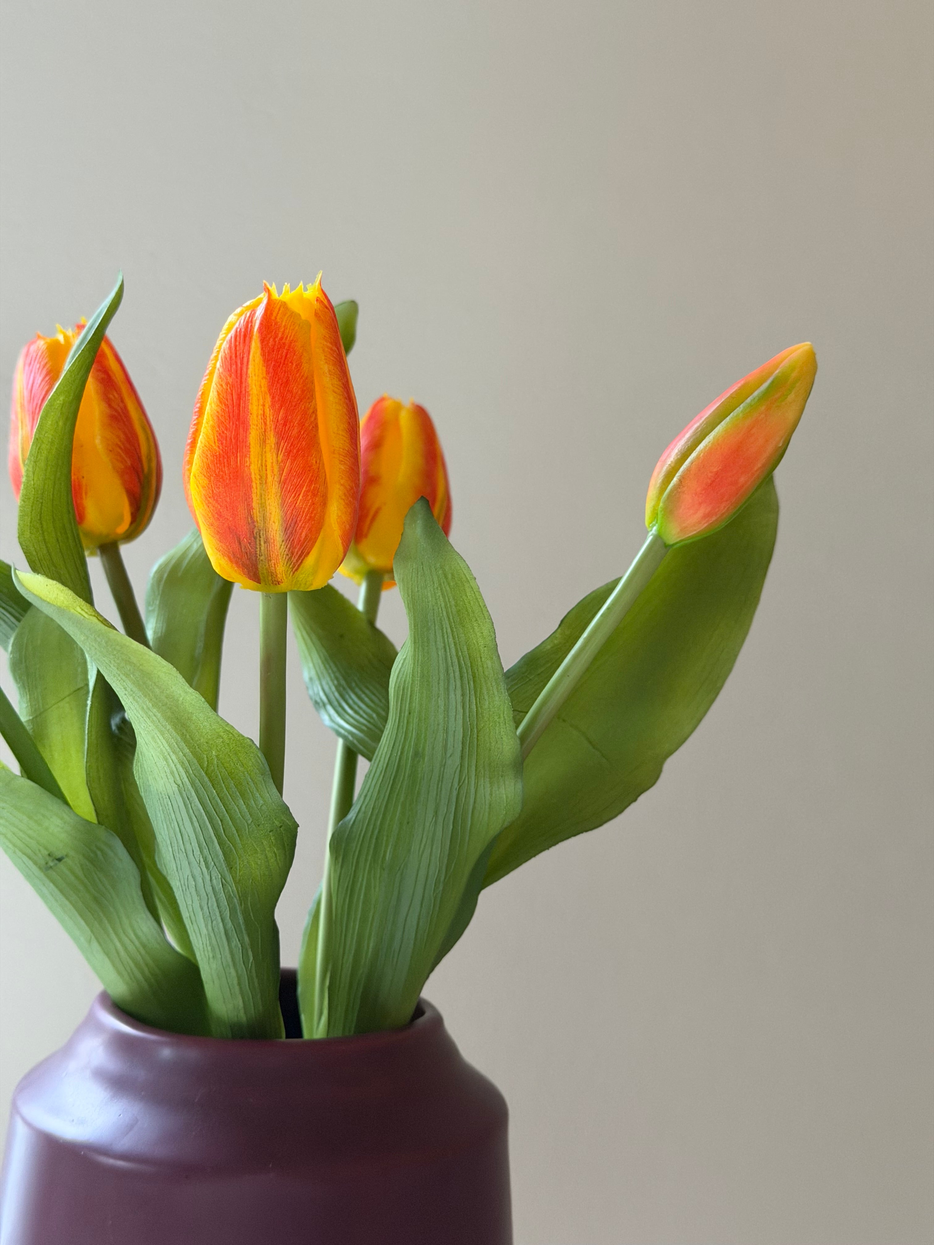 Tulipan bundt m. 5 stk