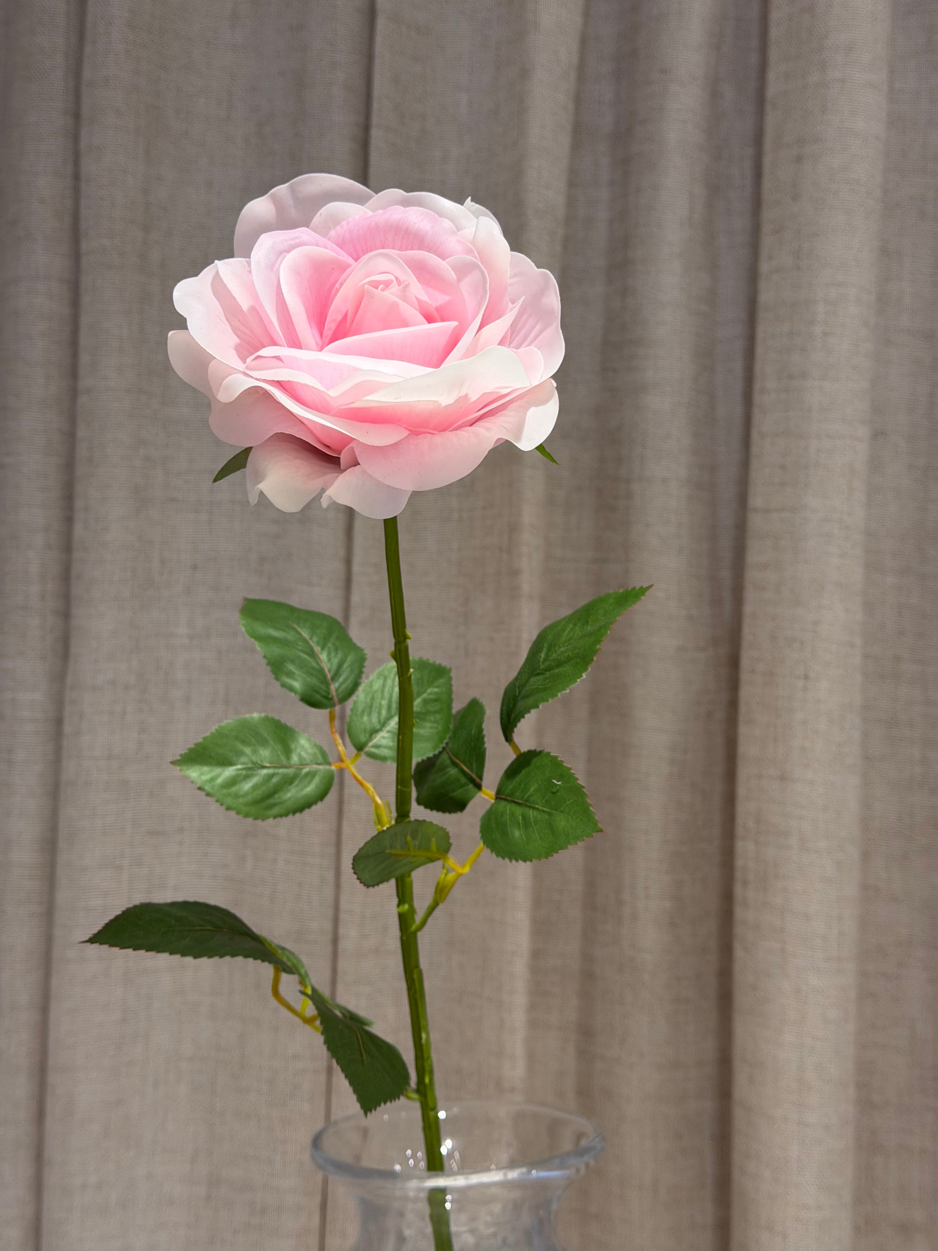 Rose med real touch 70cm