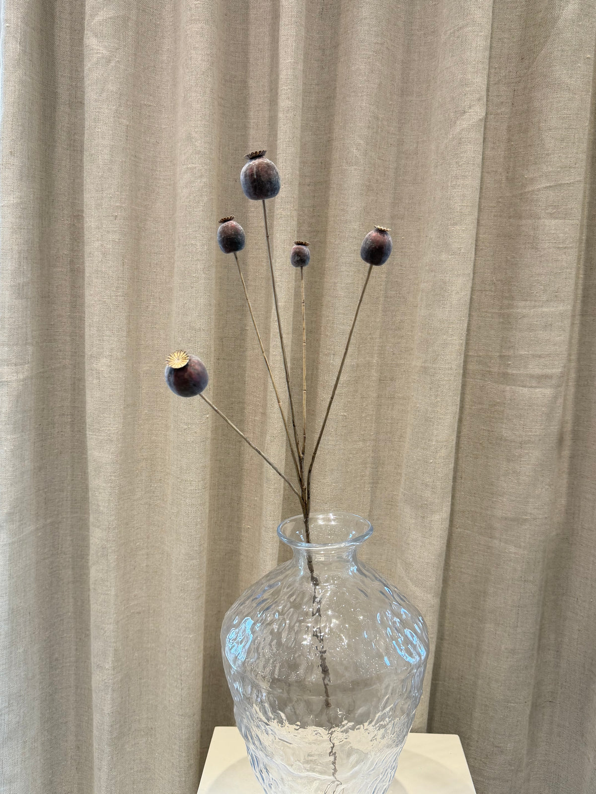 Valmue kapsel H75cm