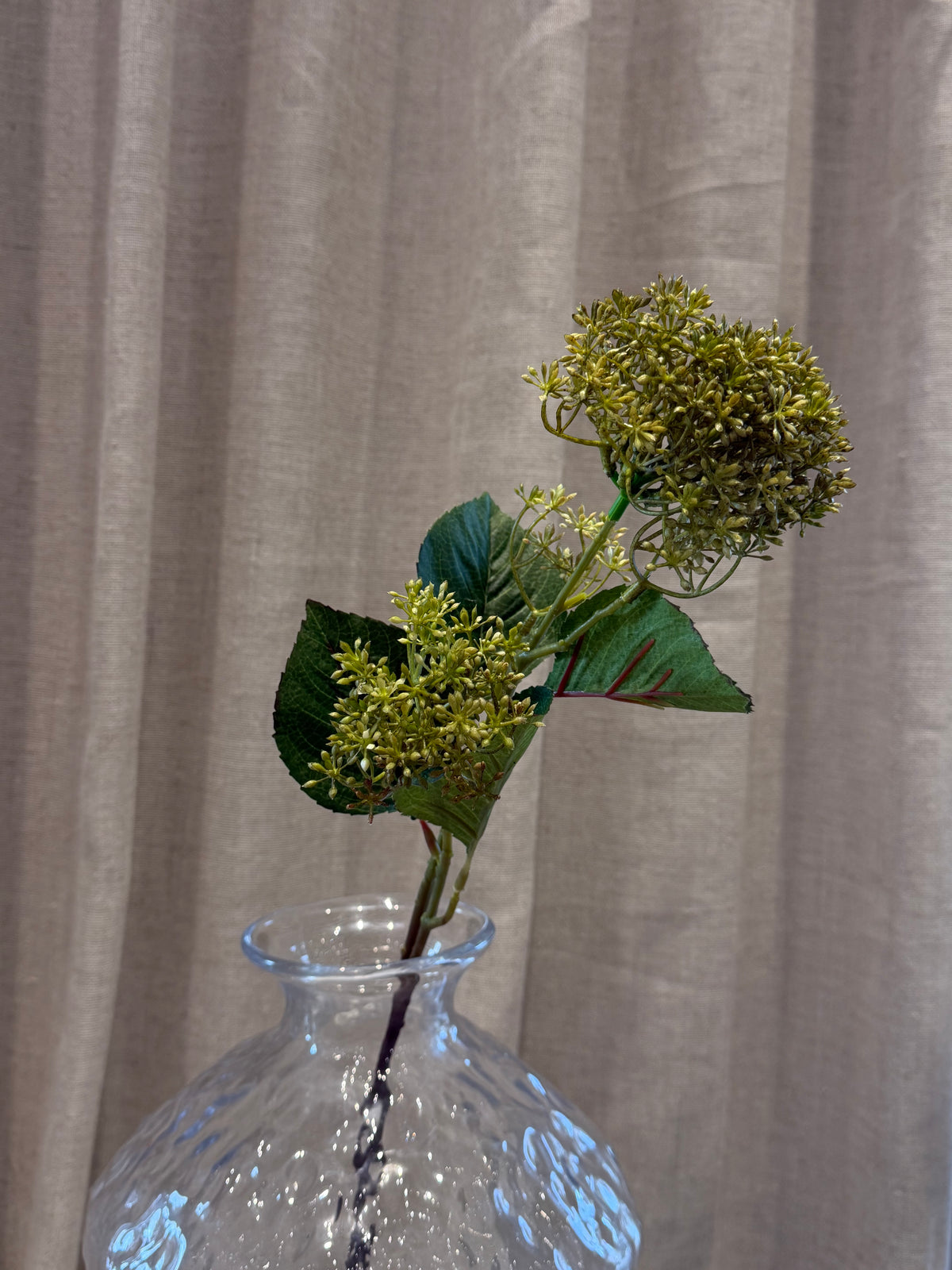 Skimmia grøn 65cm