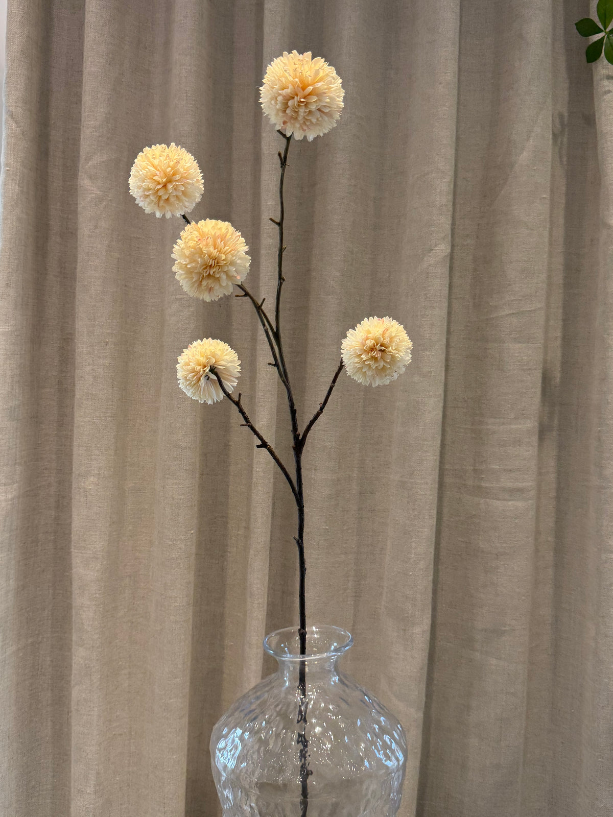 Chrysantheum Gren Creme H99cm