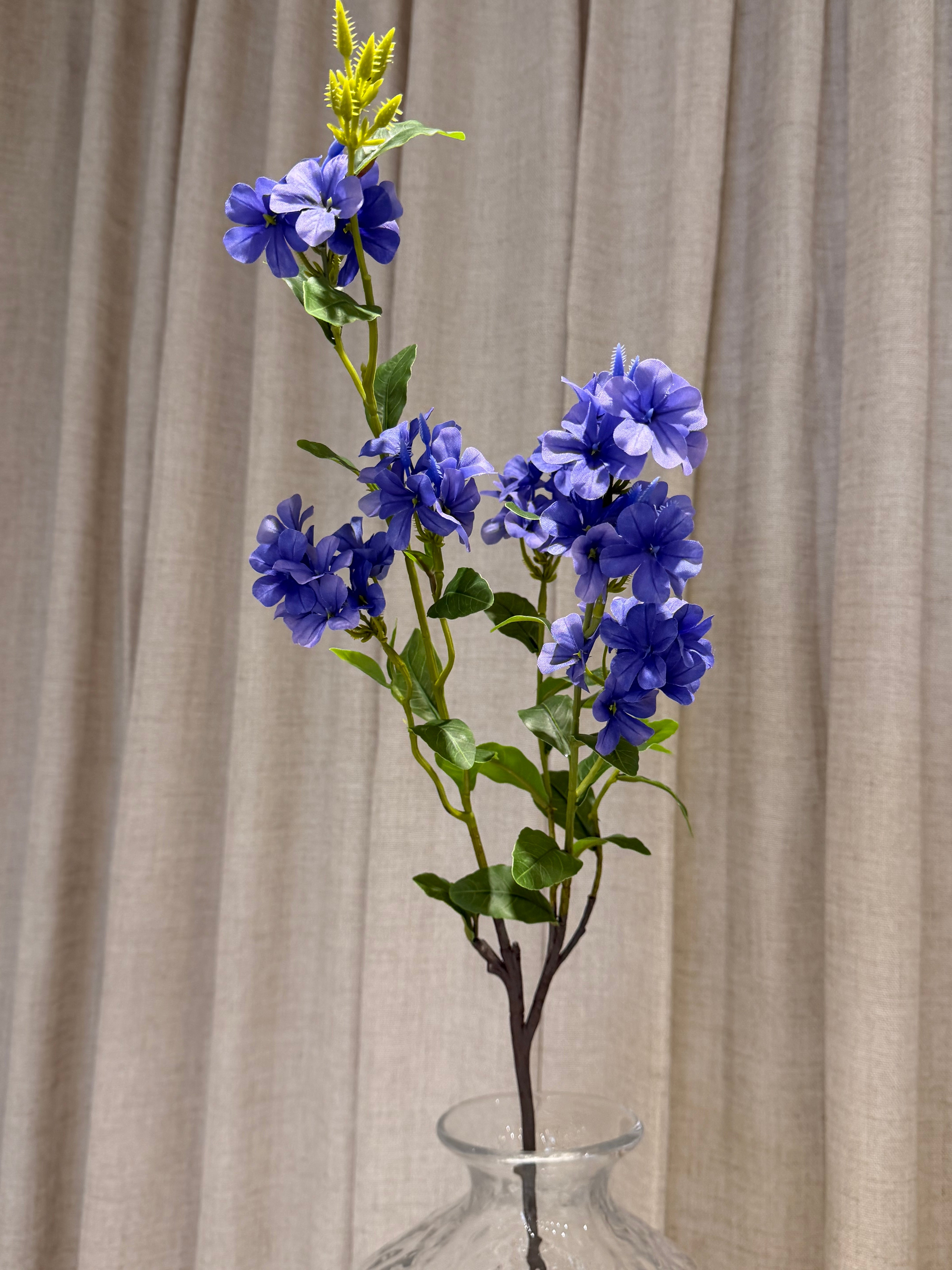 Plumbago gren 87cm