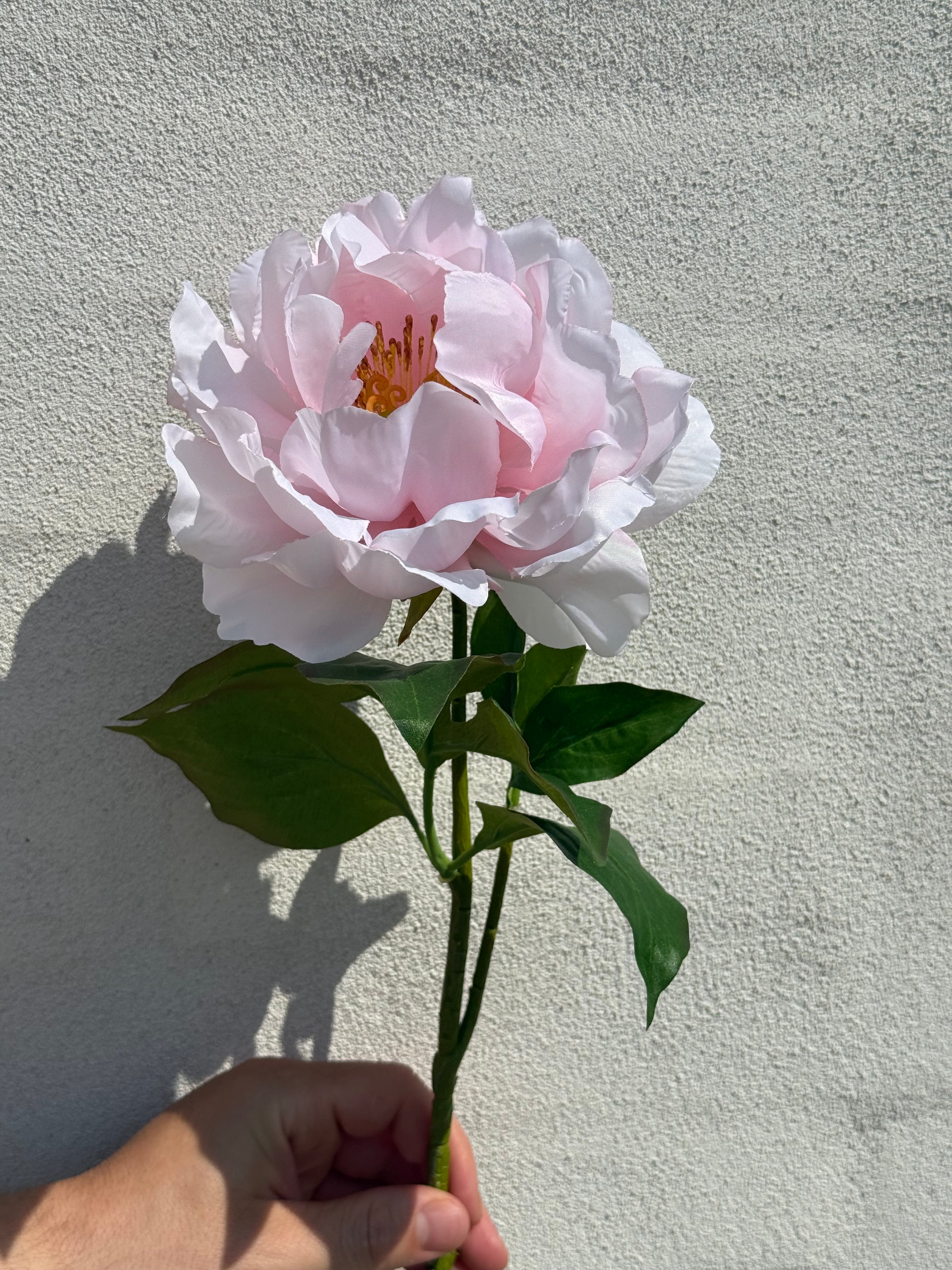 Peony Lyserød