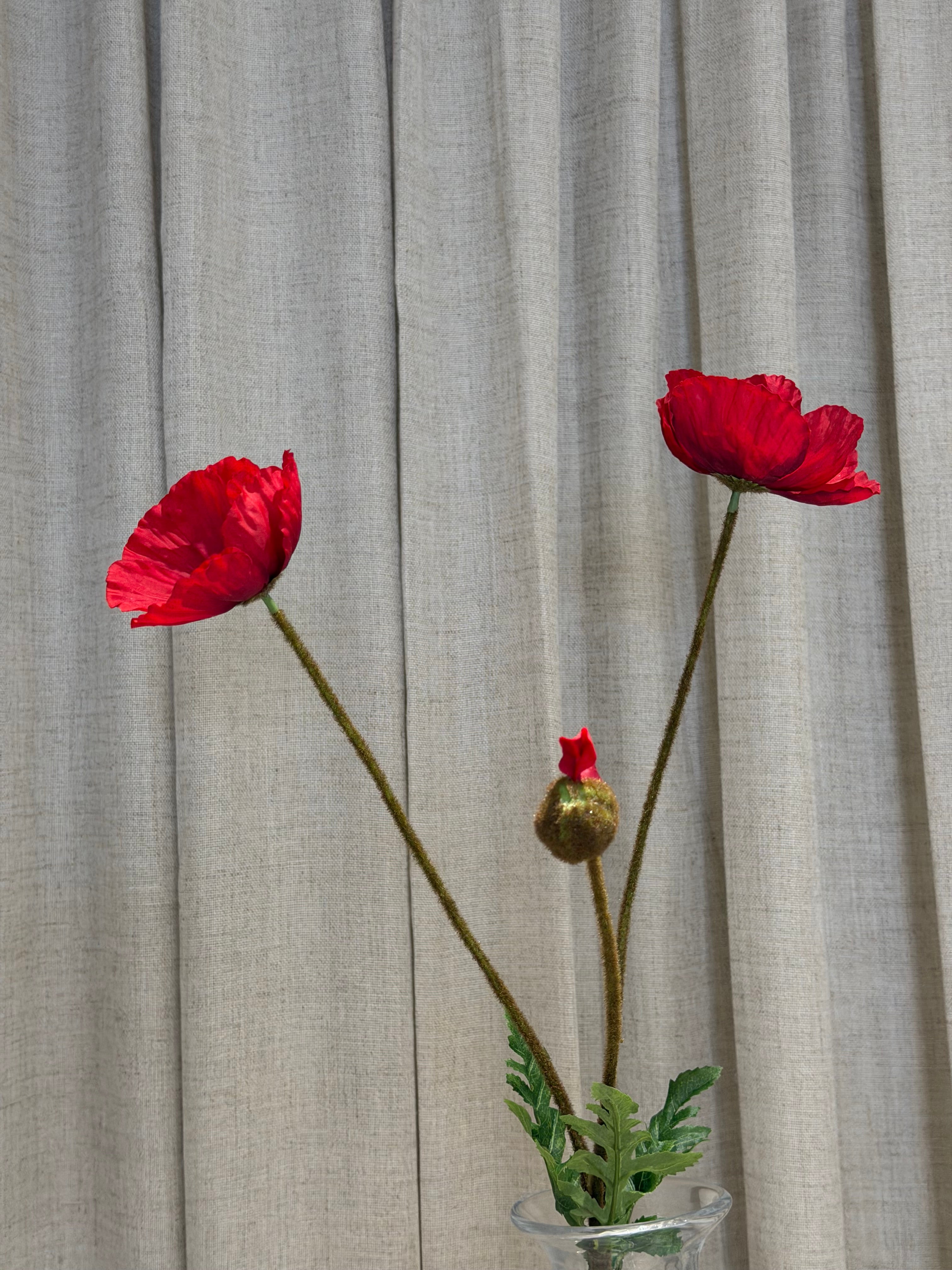 Valmue 80cm