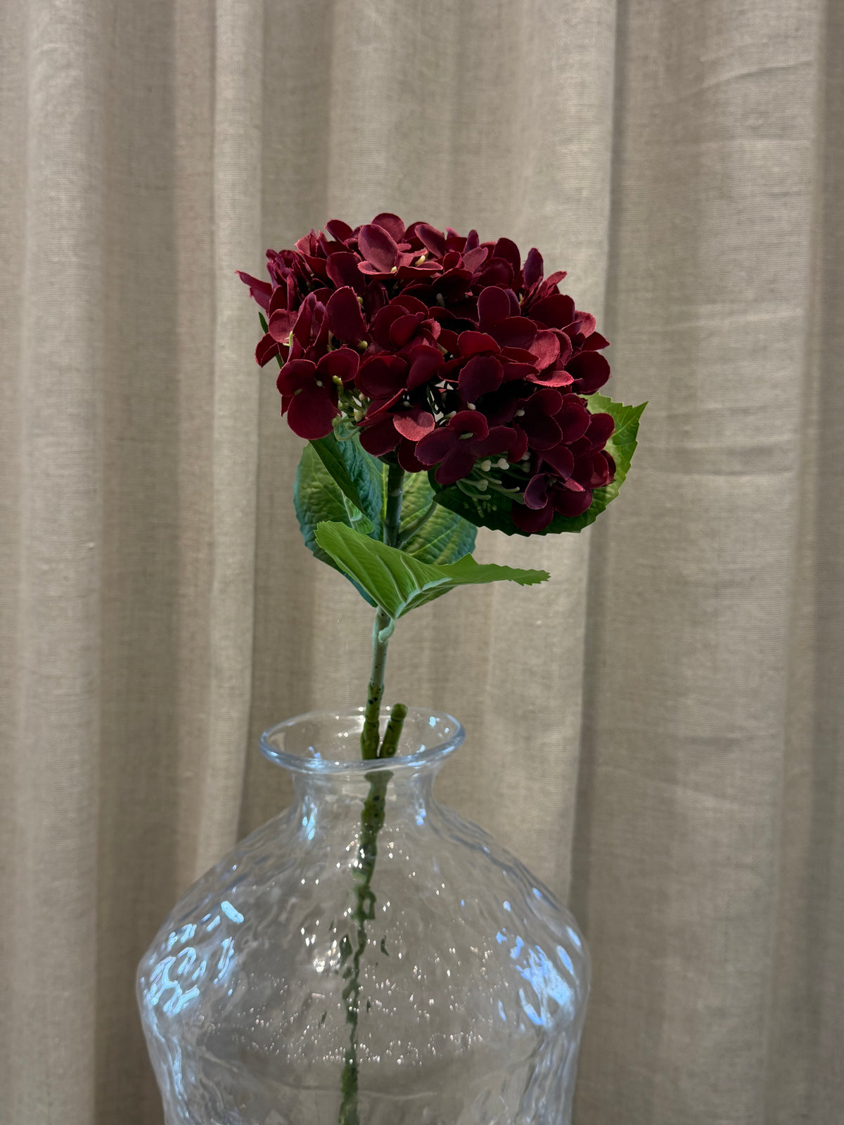 Hortensia Bordeaux H60cm
