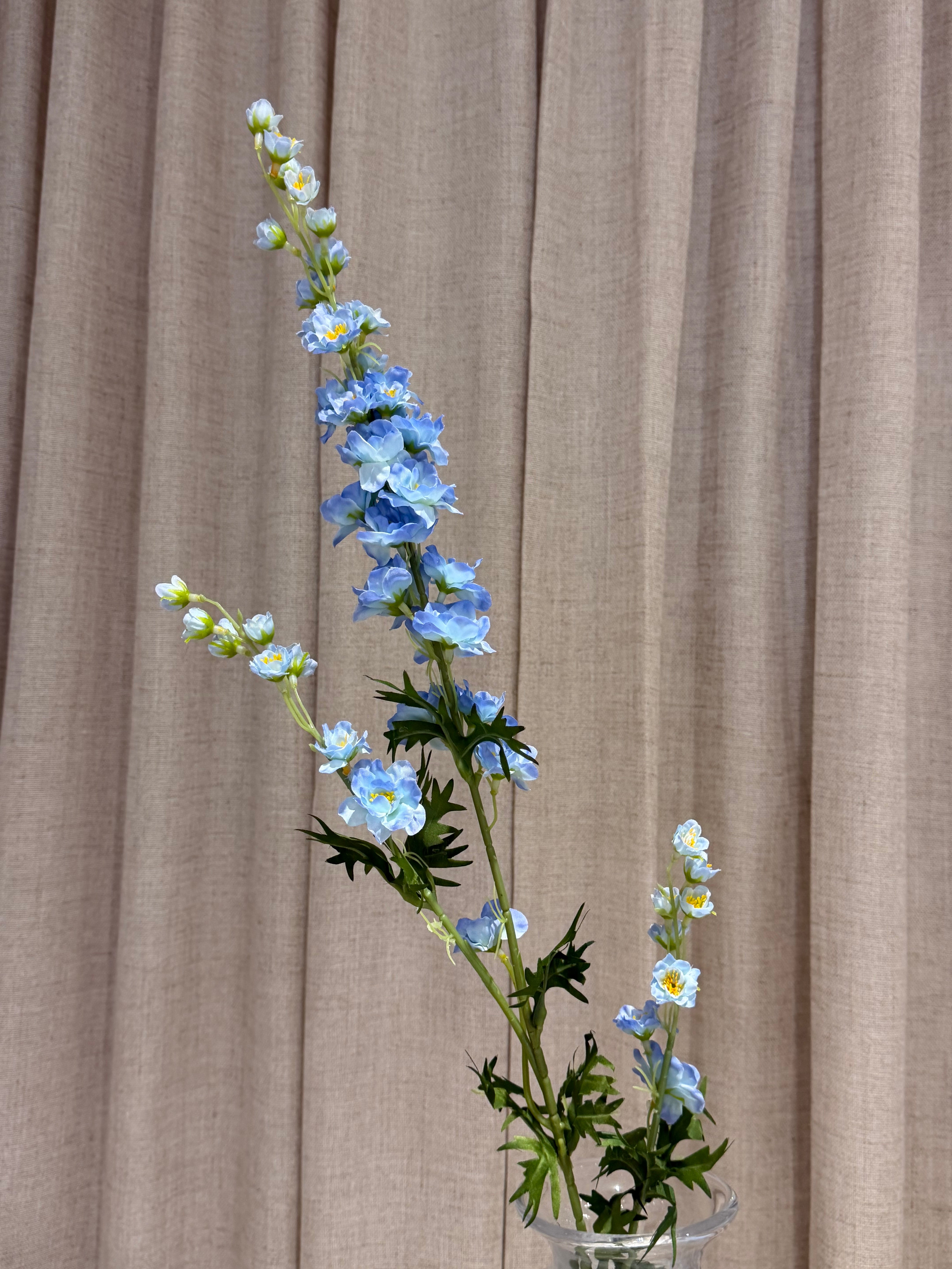 Ridderspore 90cm