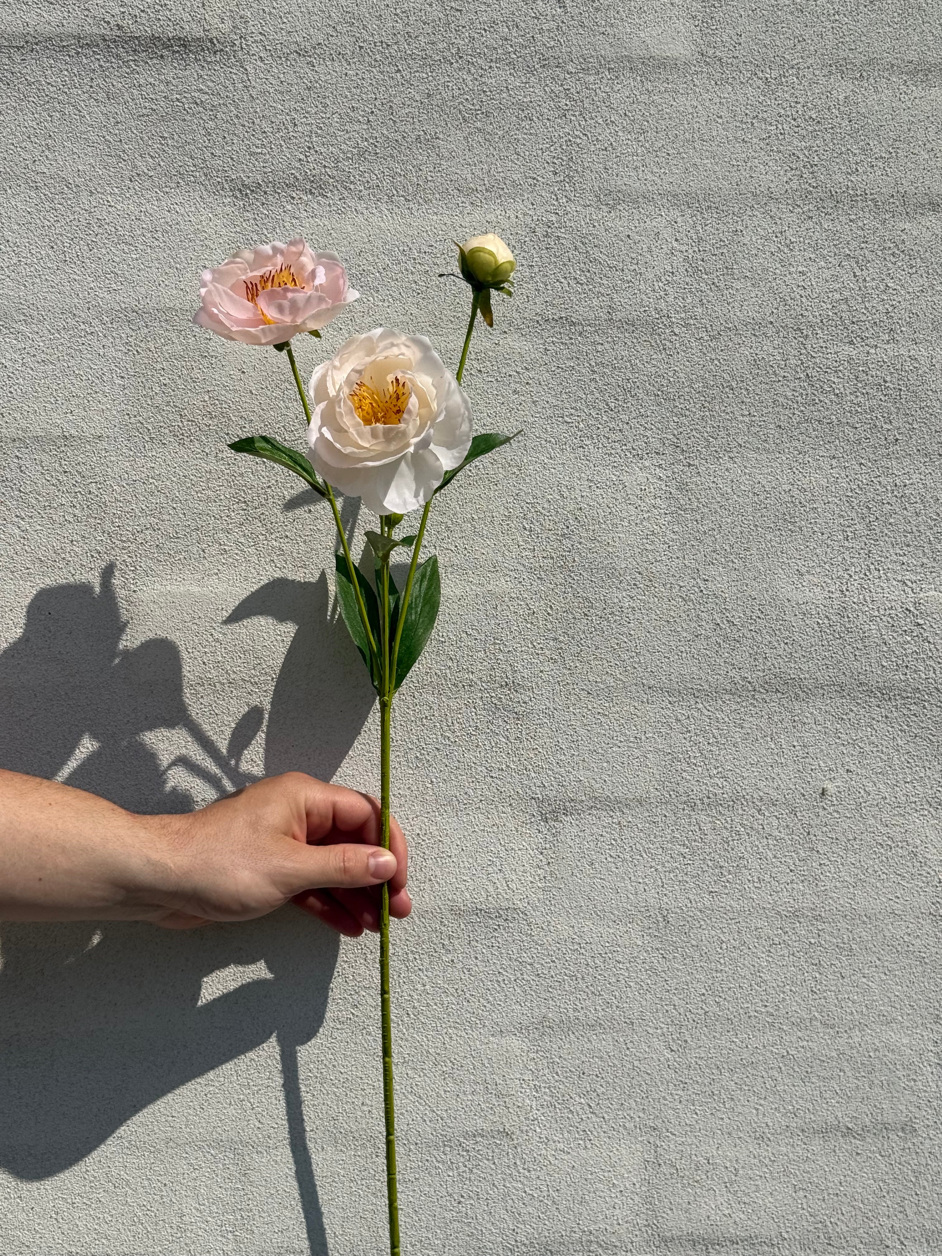 Rose lyserød