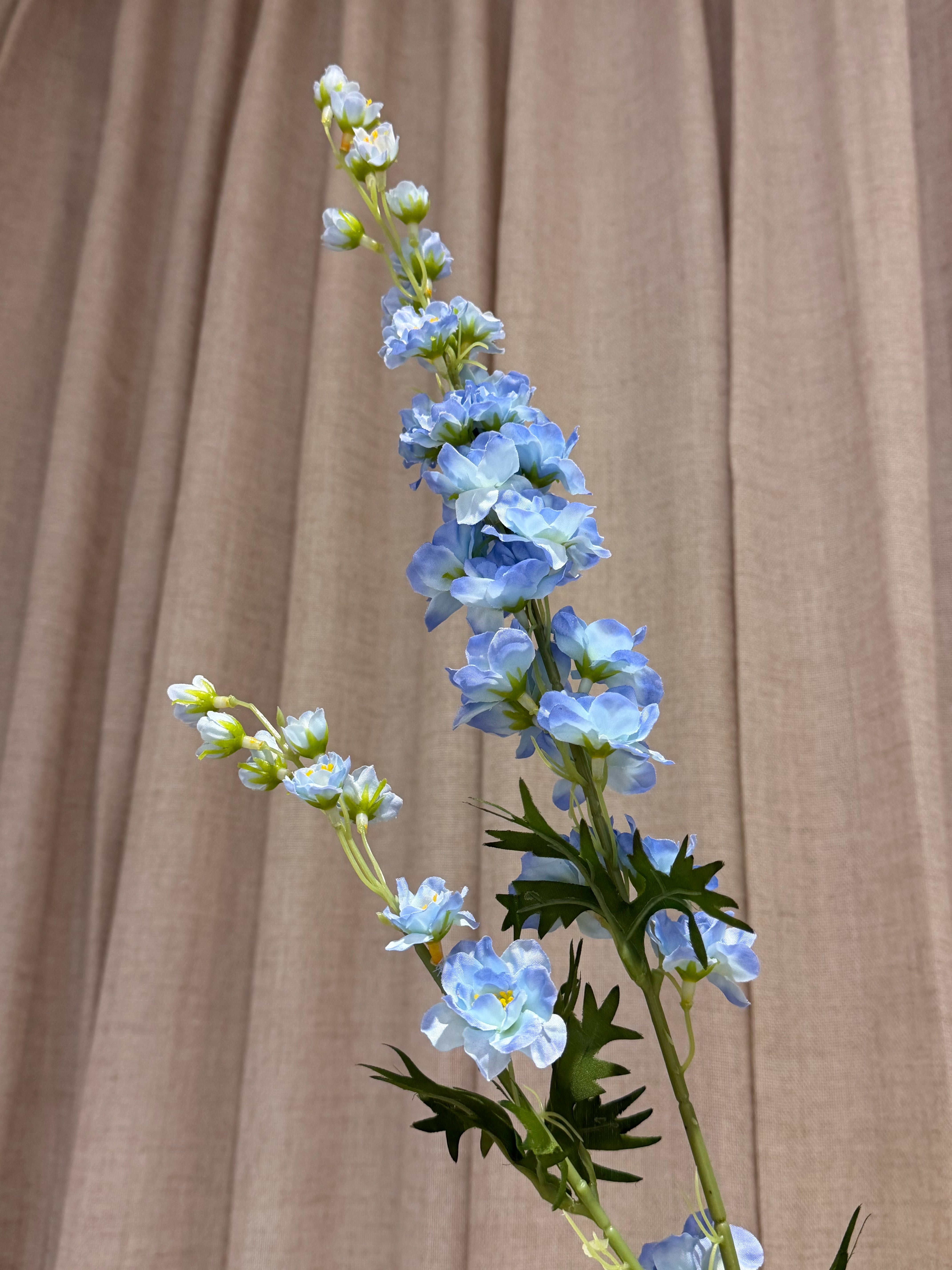 Ridderspore 90cm