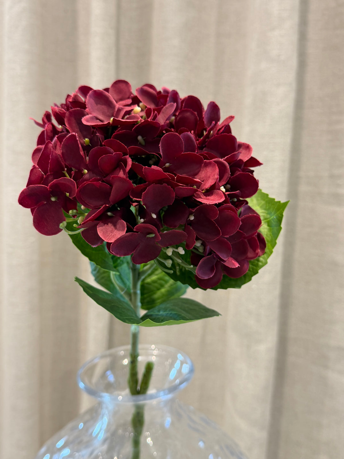 Hortensia Bordeaux H60cm