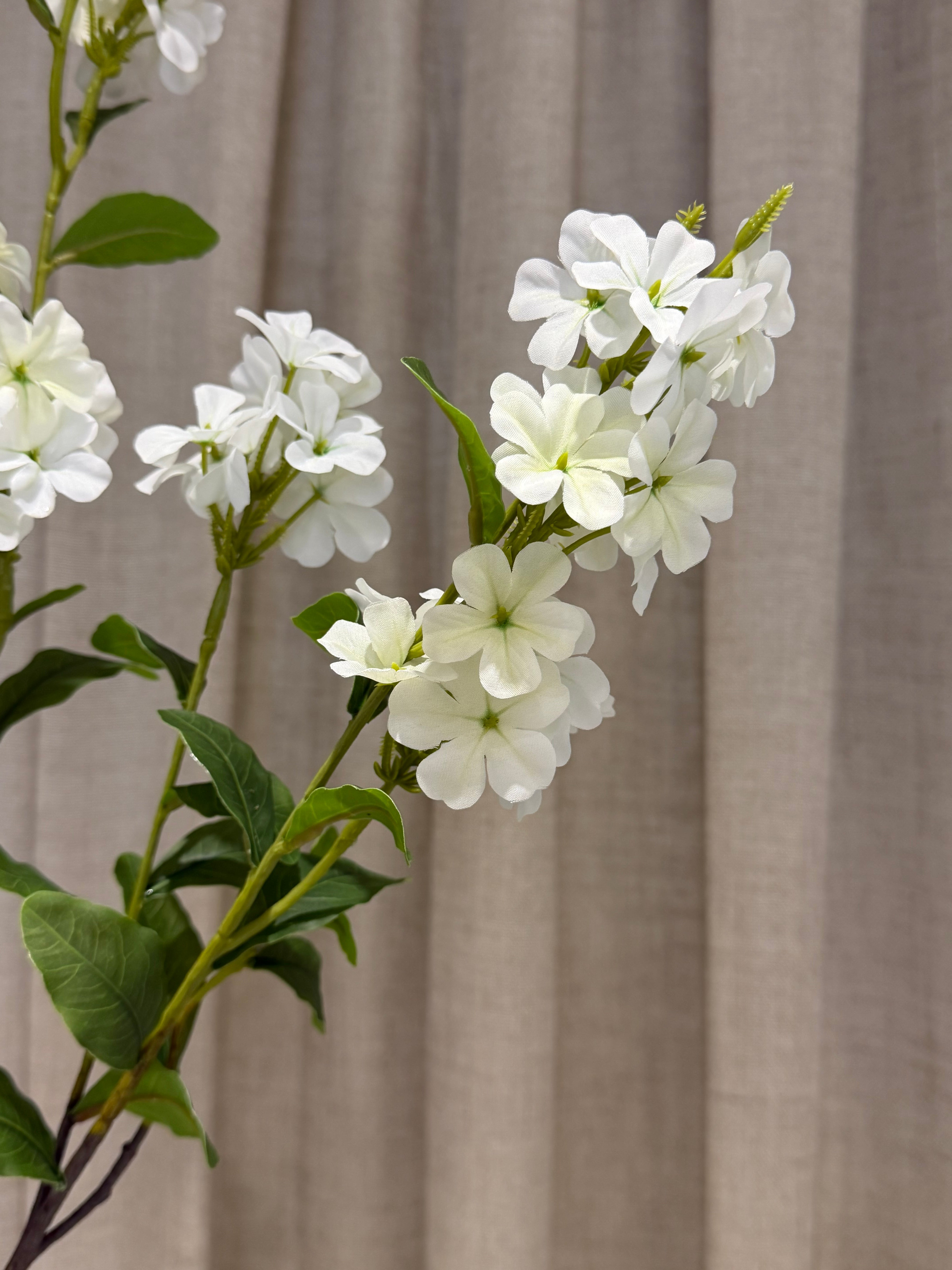 Plumbago gren 87cm