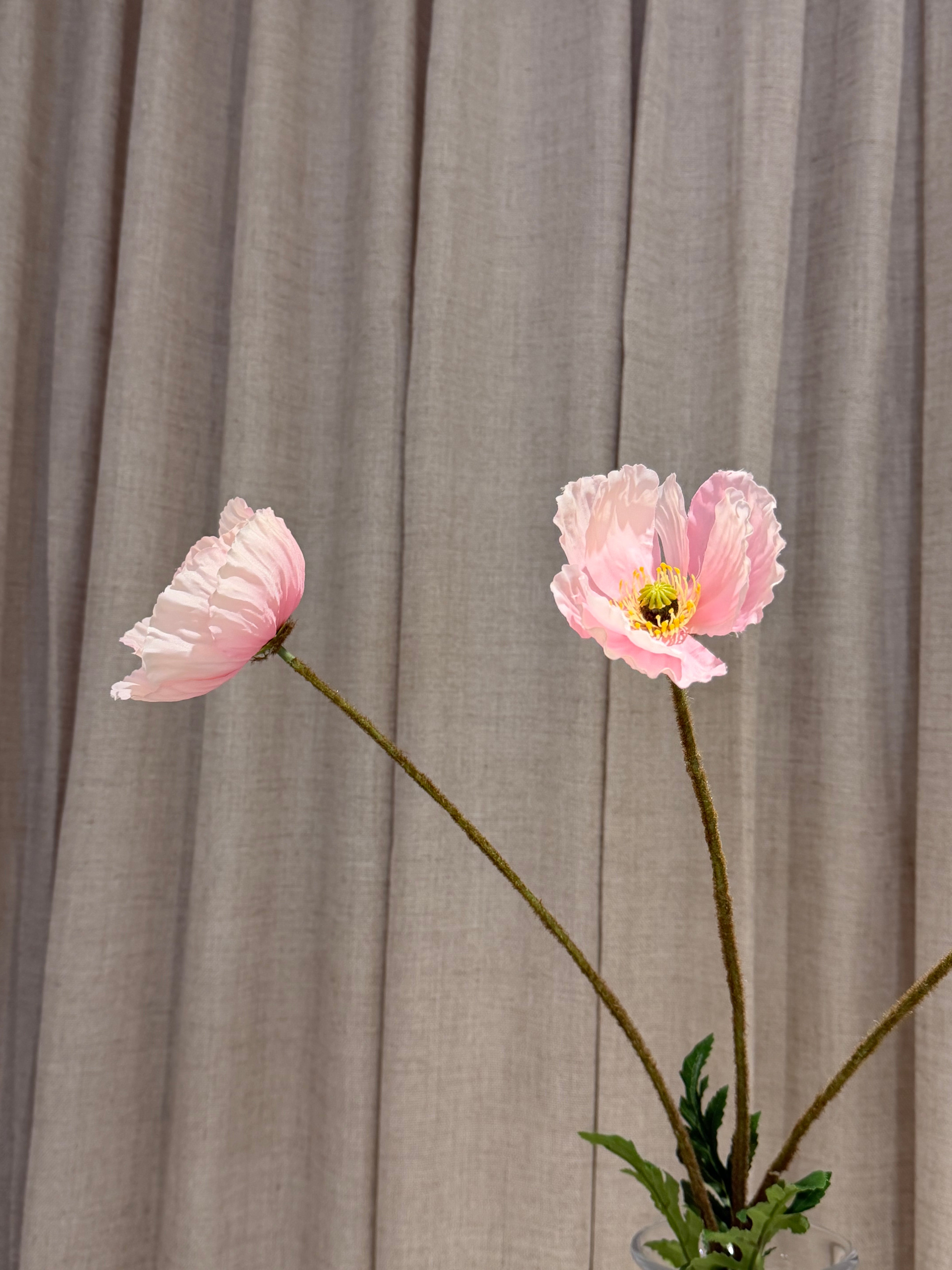 Valmue 80cm