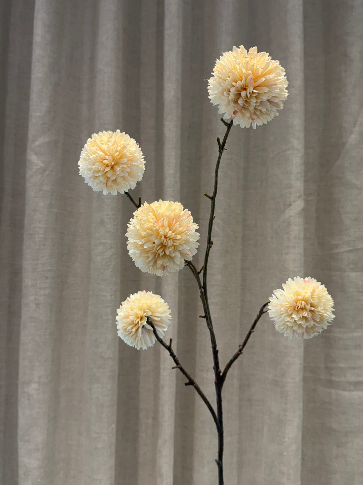 Chrysantheum Gren Creme H99cm