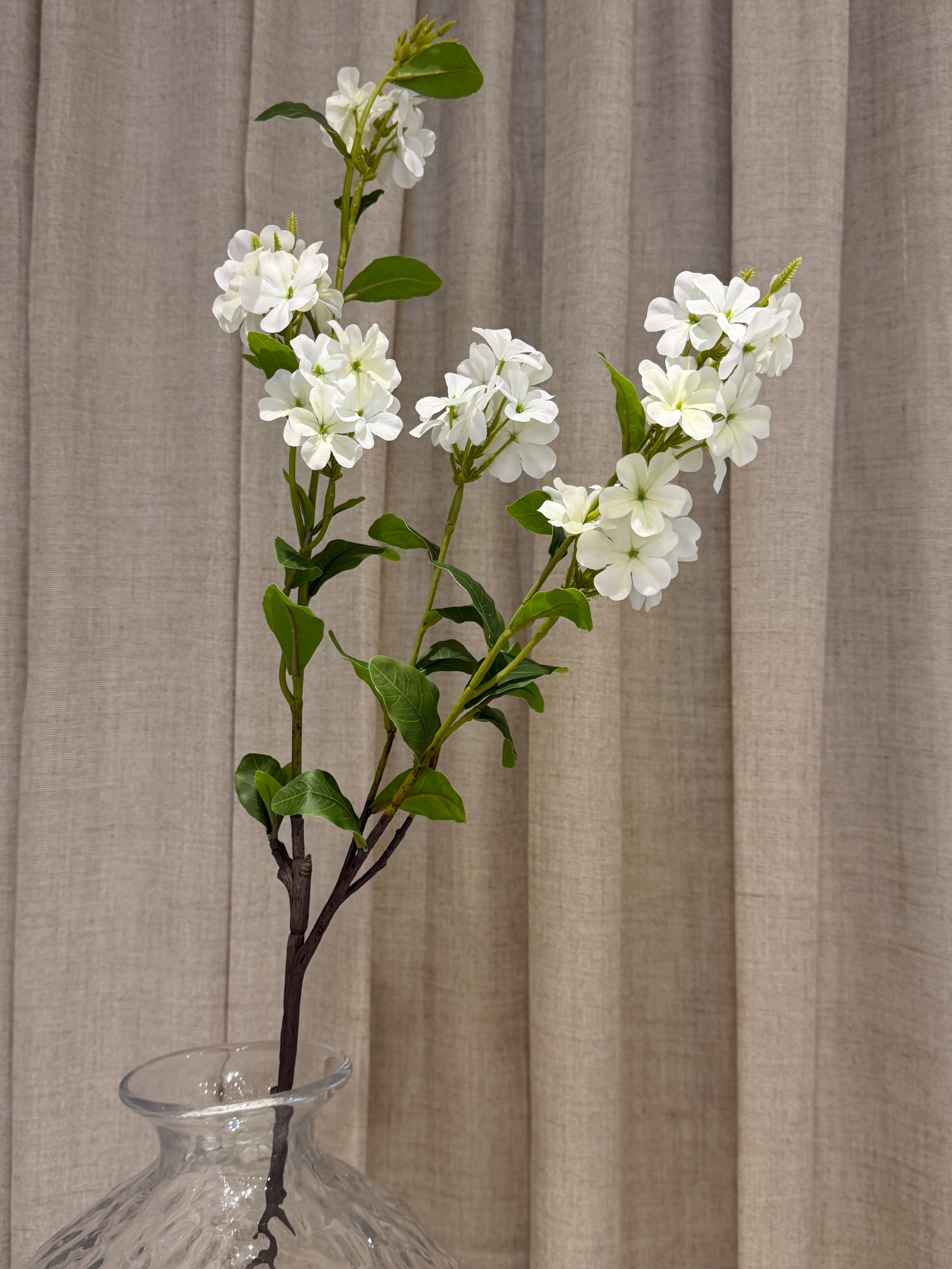 Plumbago gren 87cm
