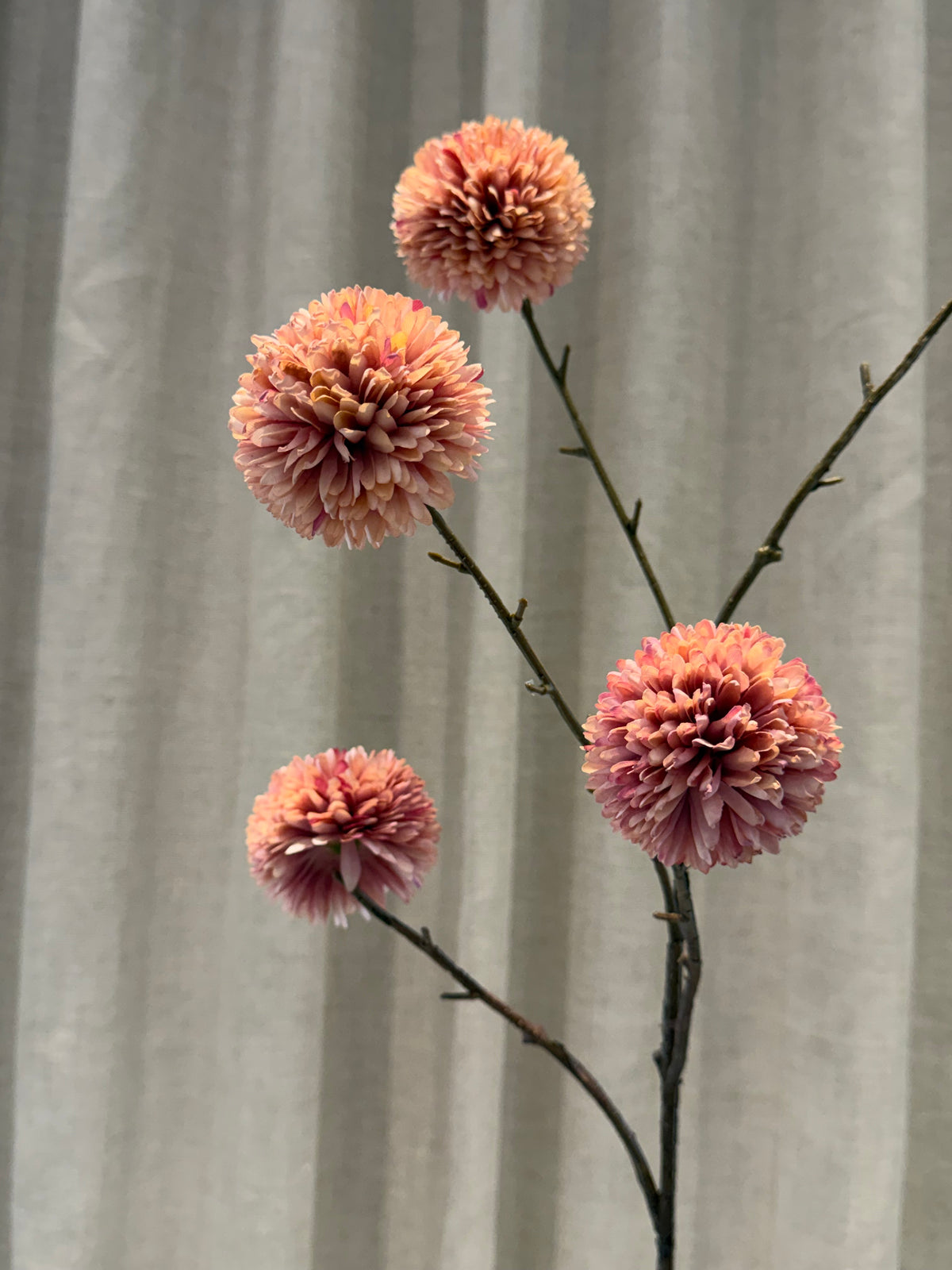 Chrysantheum Gren Rosa H99cm