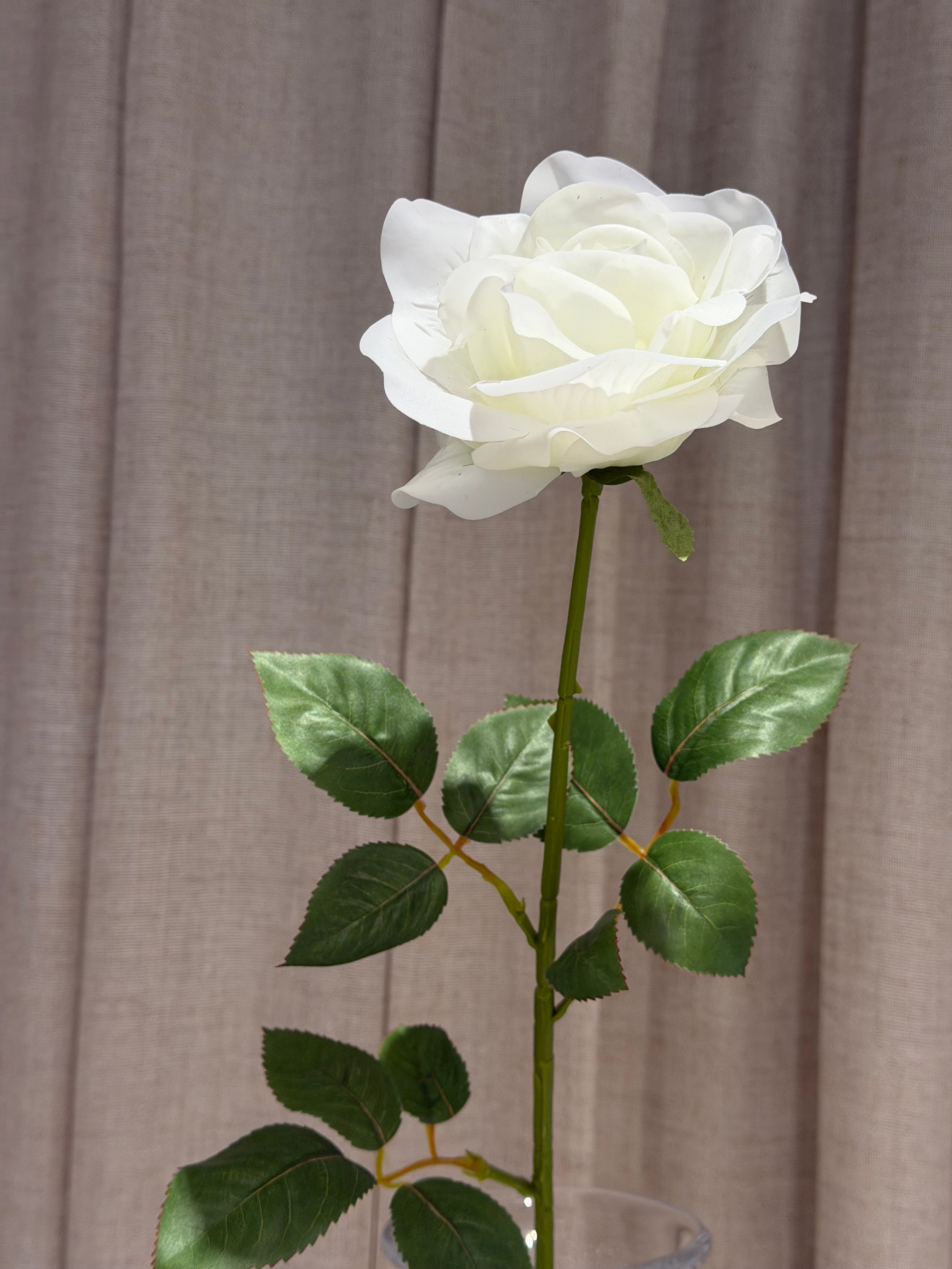Rose med real touch 70cm