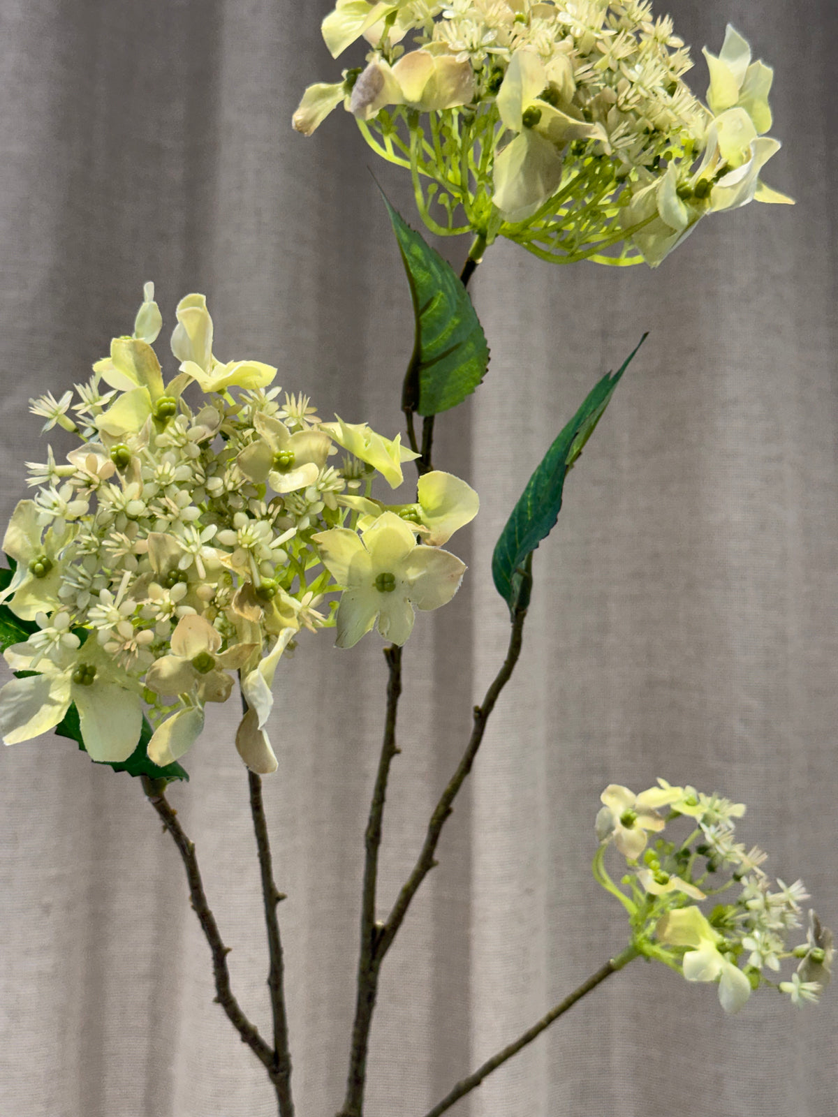 Hyndrangea hvid/grøn