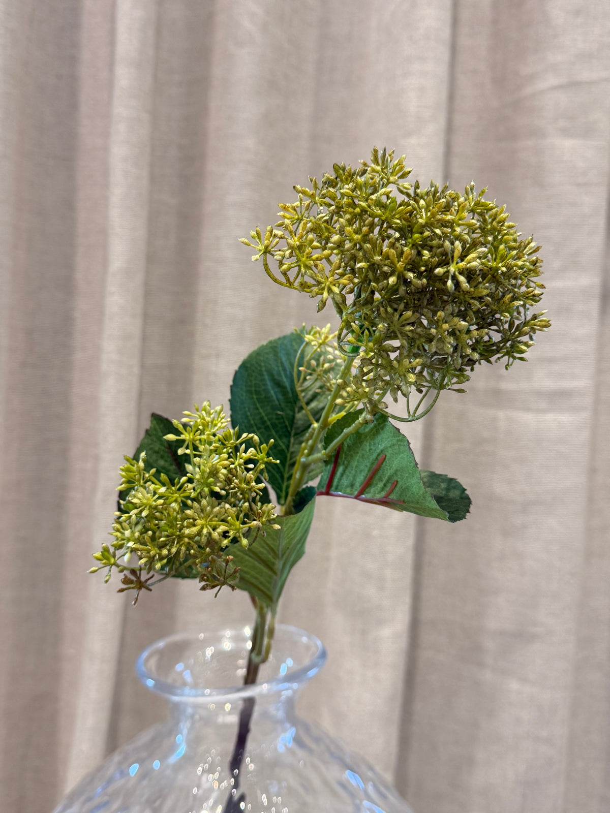 Skimmia grøn 65cm