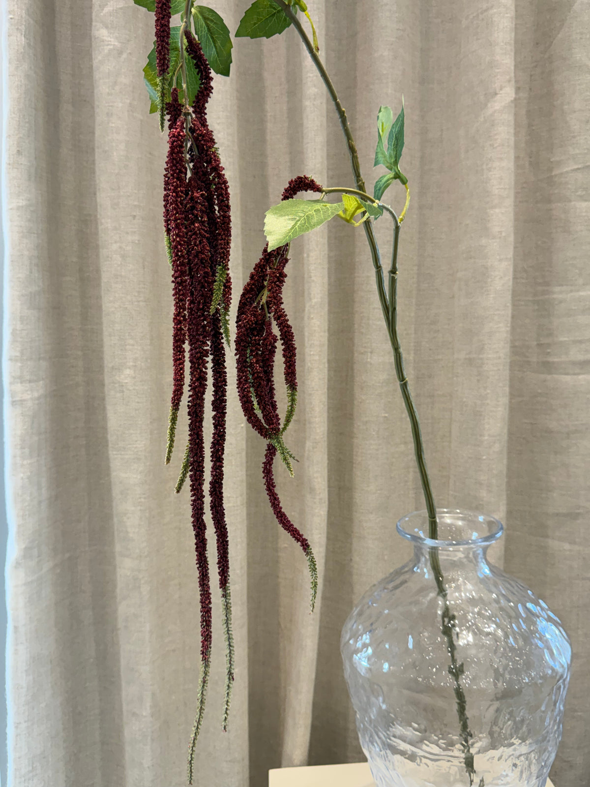 Hænge Amaranthus 85cm Bordeaux