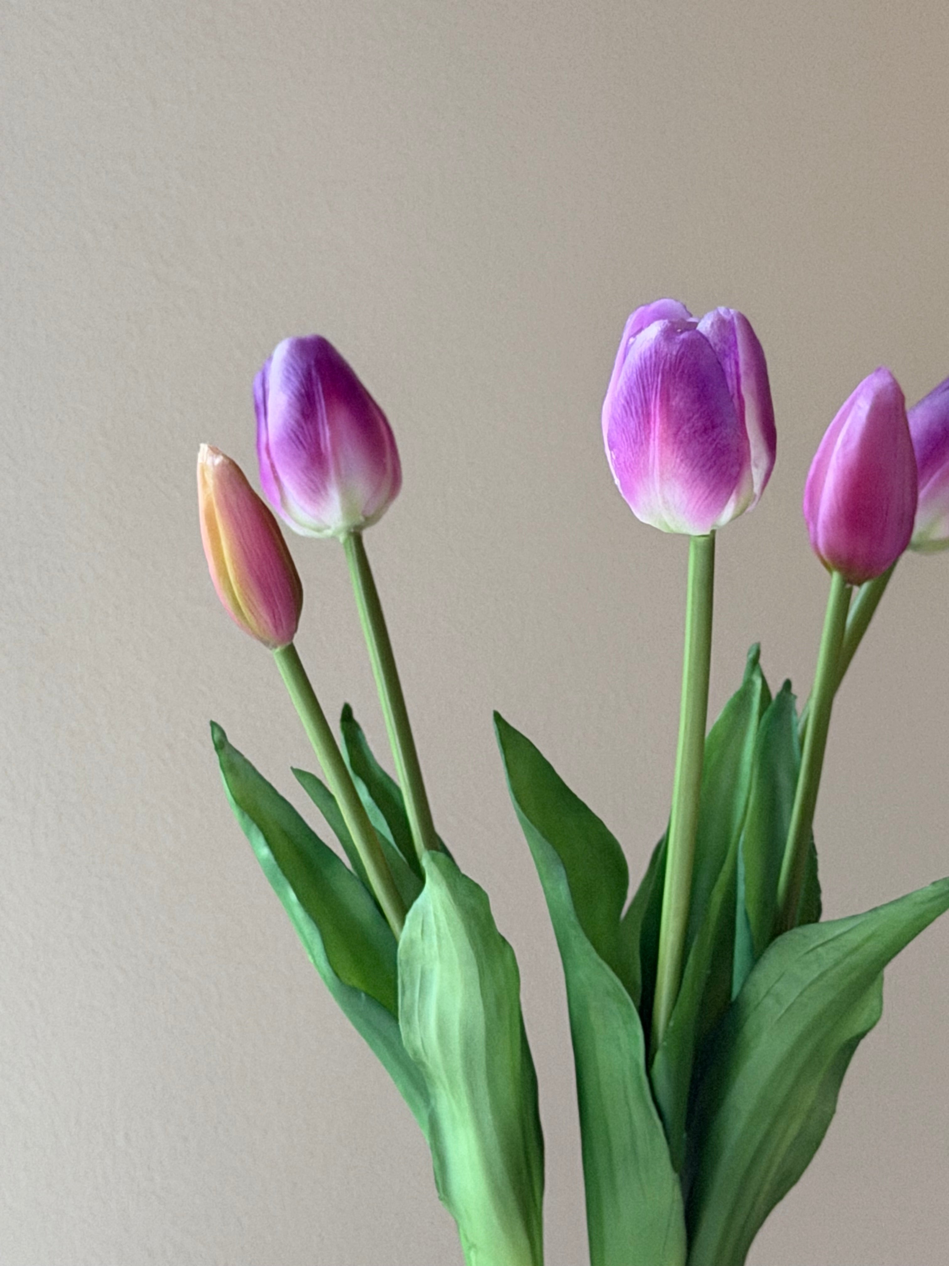 Tulipan bundt m. 5 stk