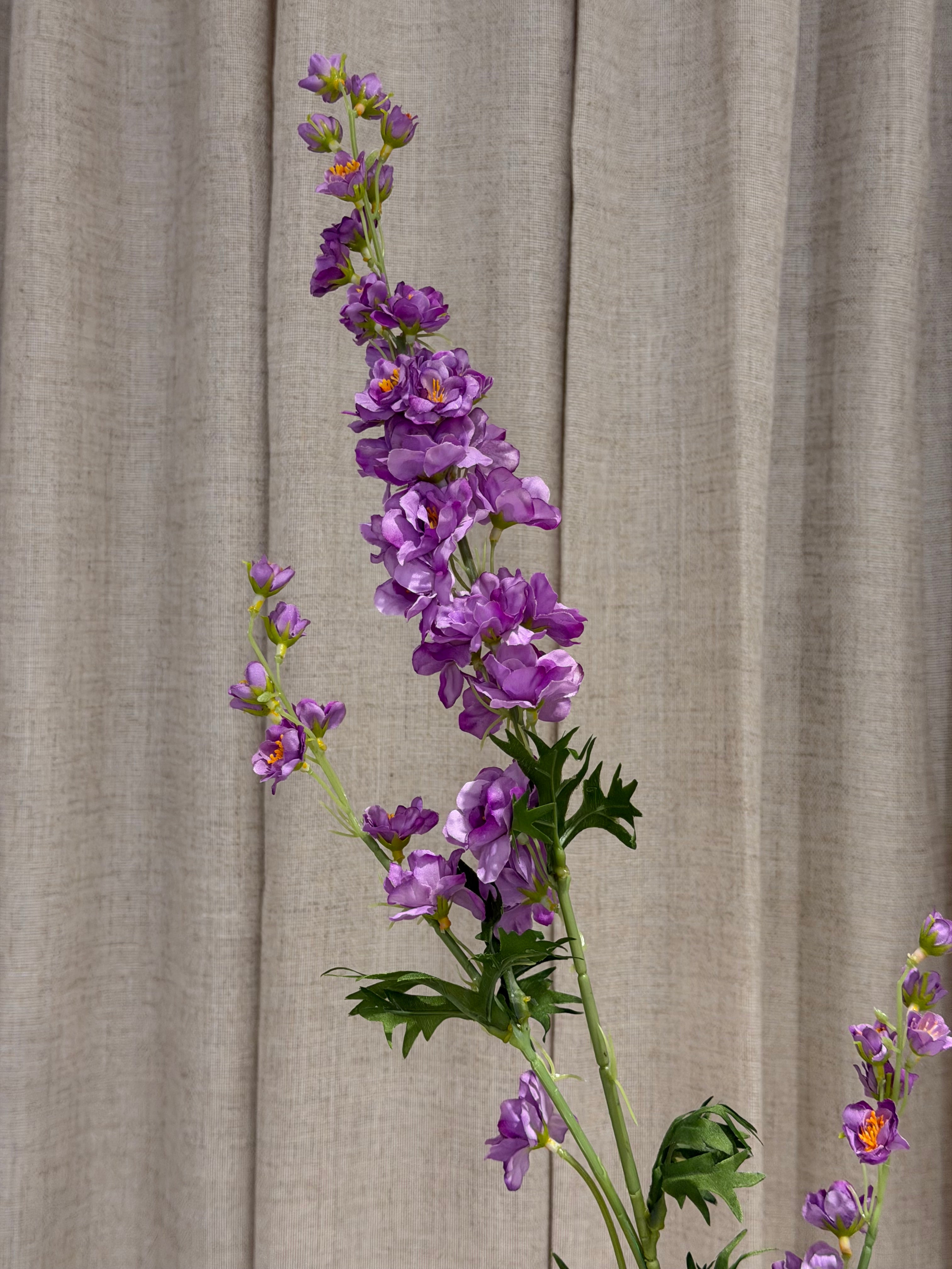 Ridderspore 90cm