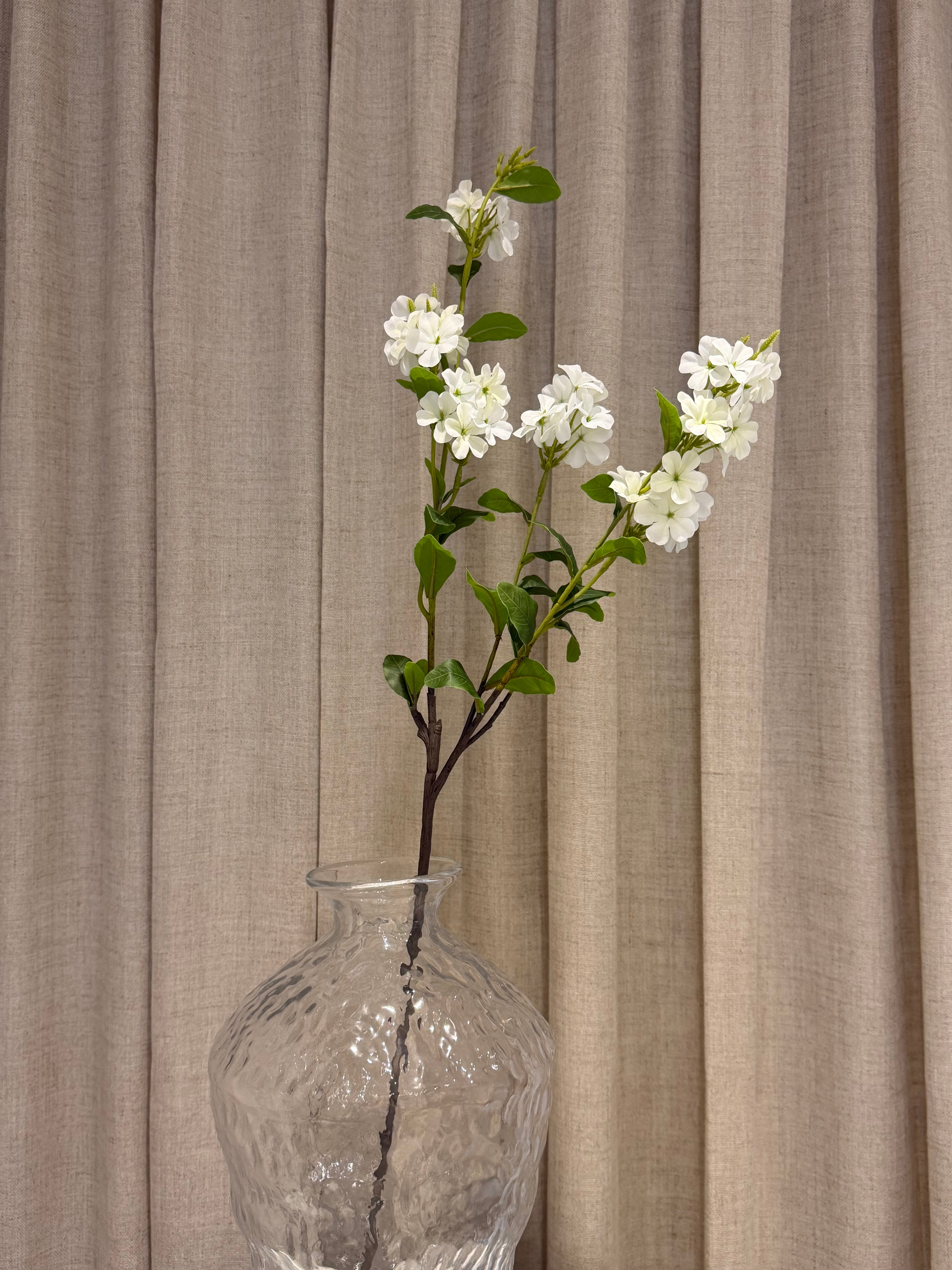 Plumbago gren 87cm