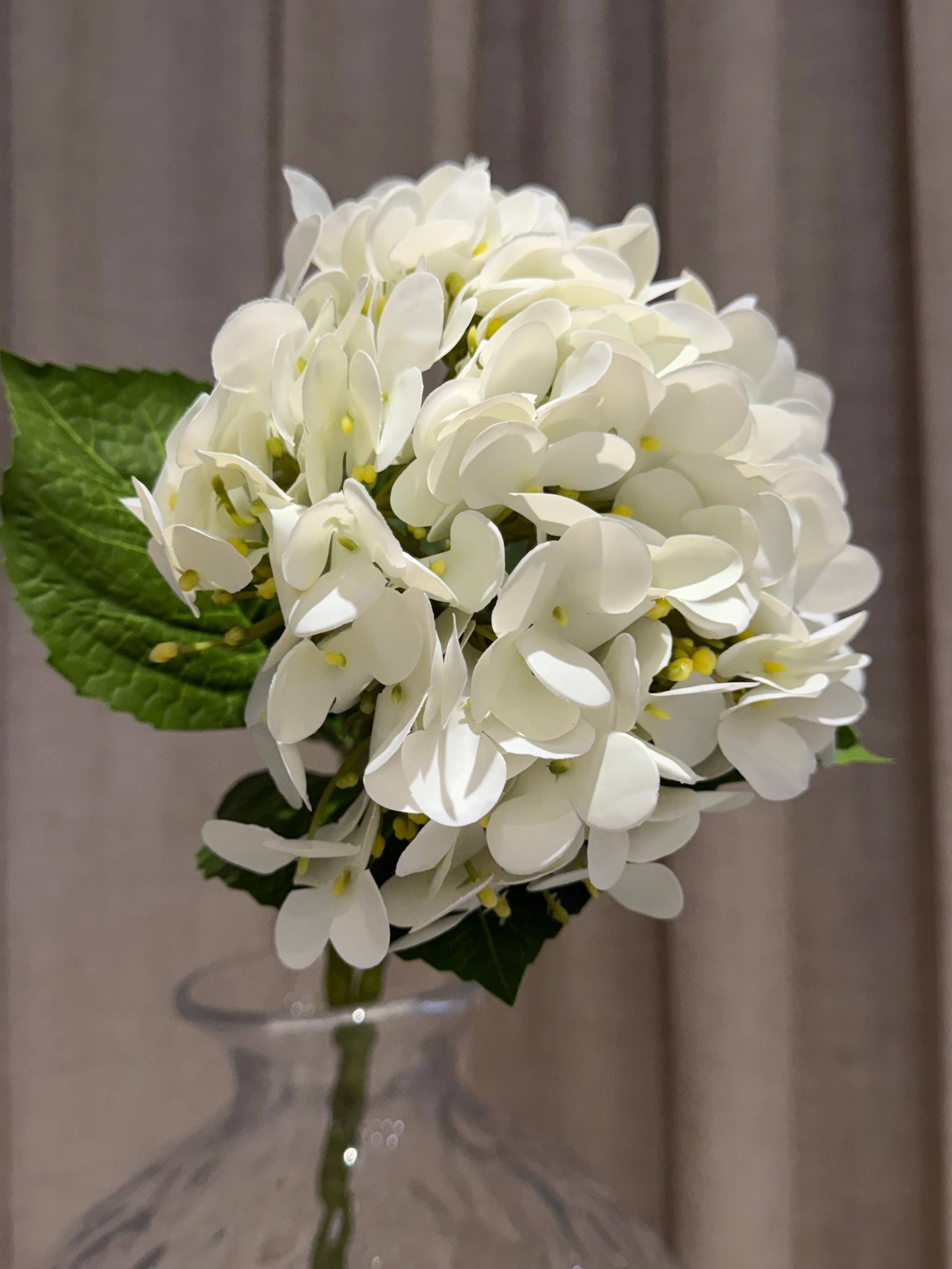Hvid Hortensia 60 cm