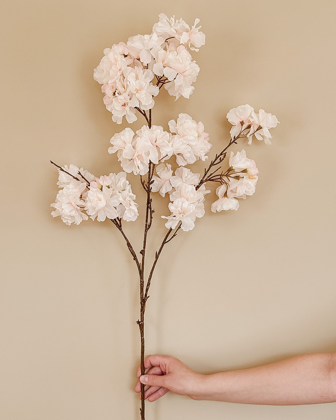 Blossom - Hvid/Lyserød - 109 cm