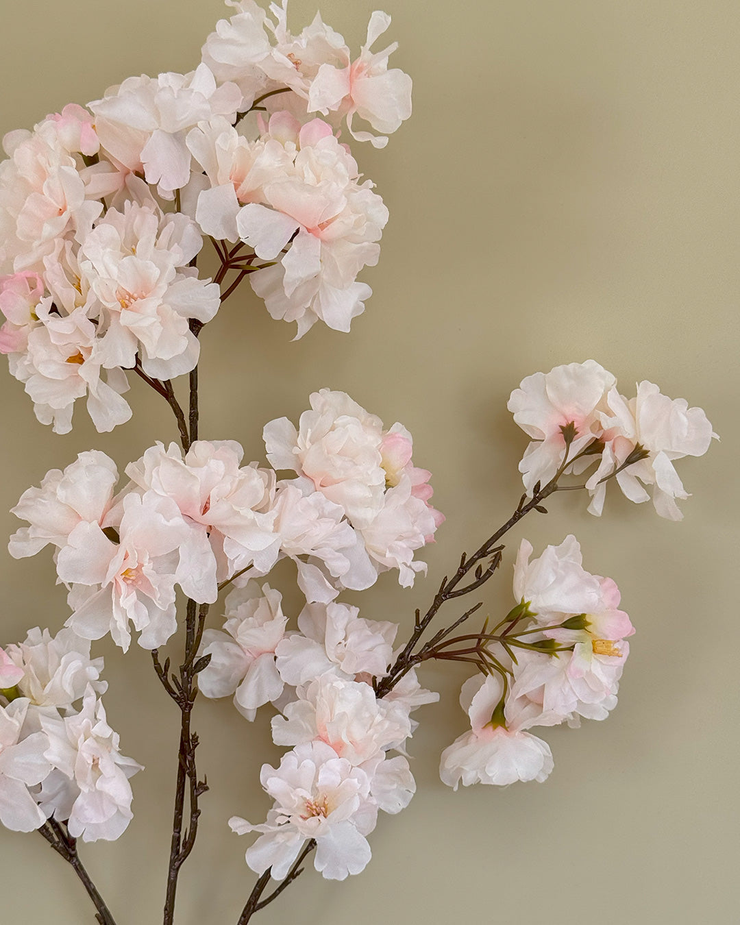 Blossom - Hvid/Lyserød - 109 cm