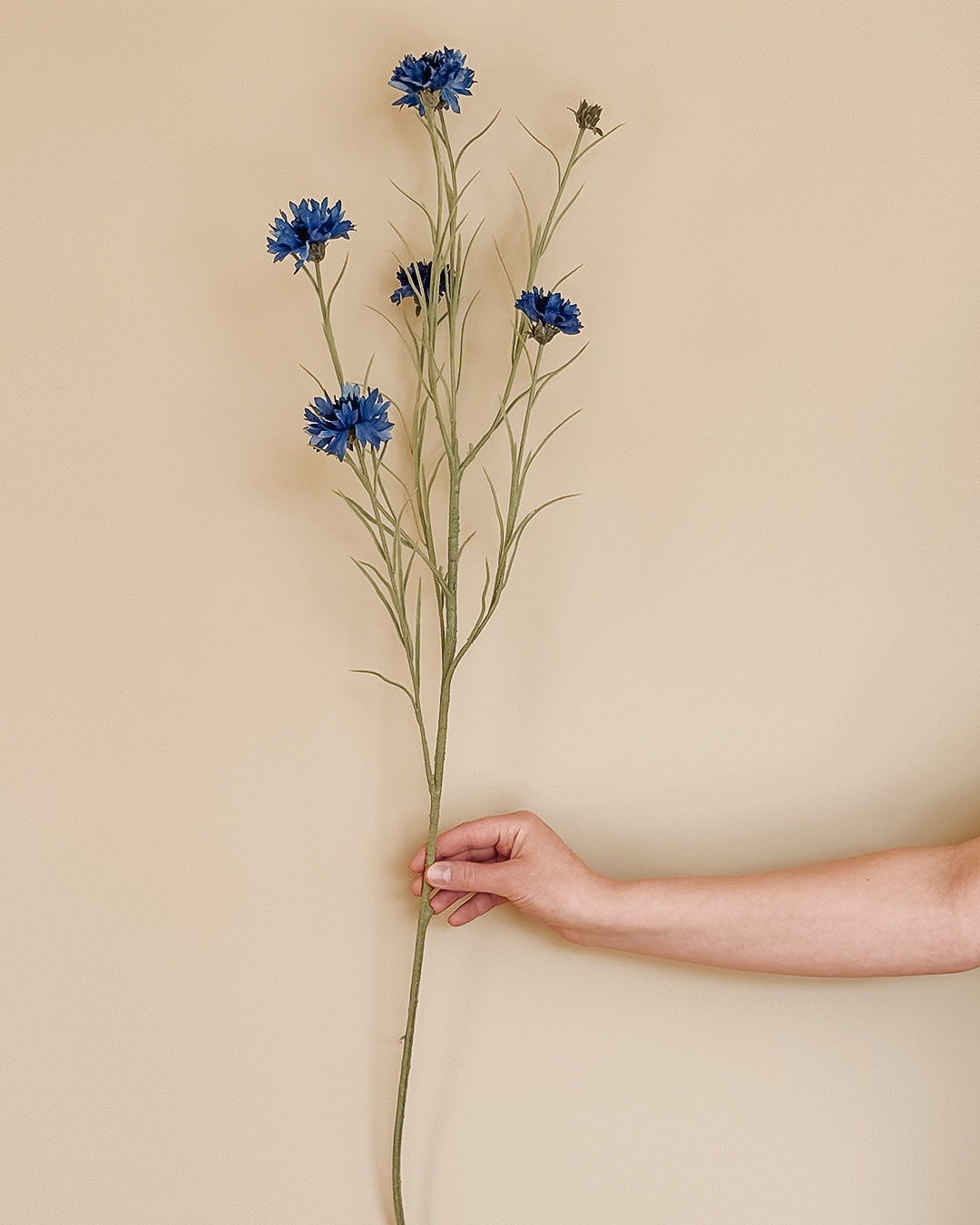 Cornflower - Blå - 92 cm