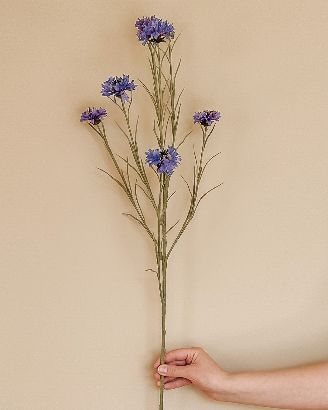Cornflower - Blå/Lilla - 92 cm