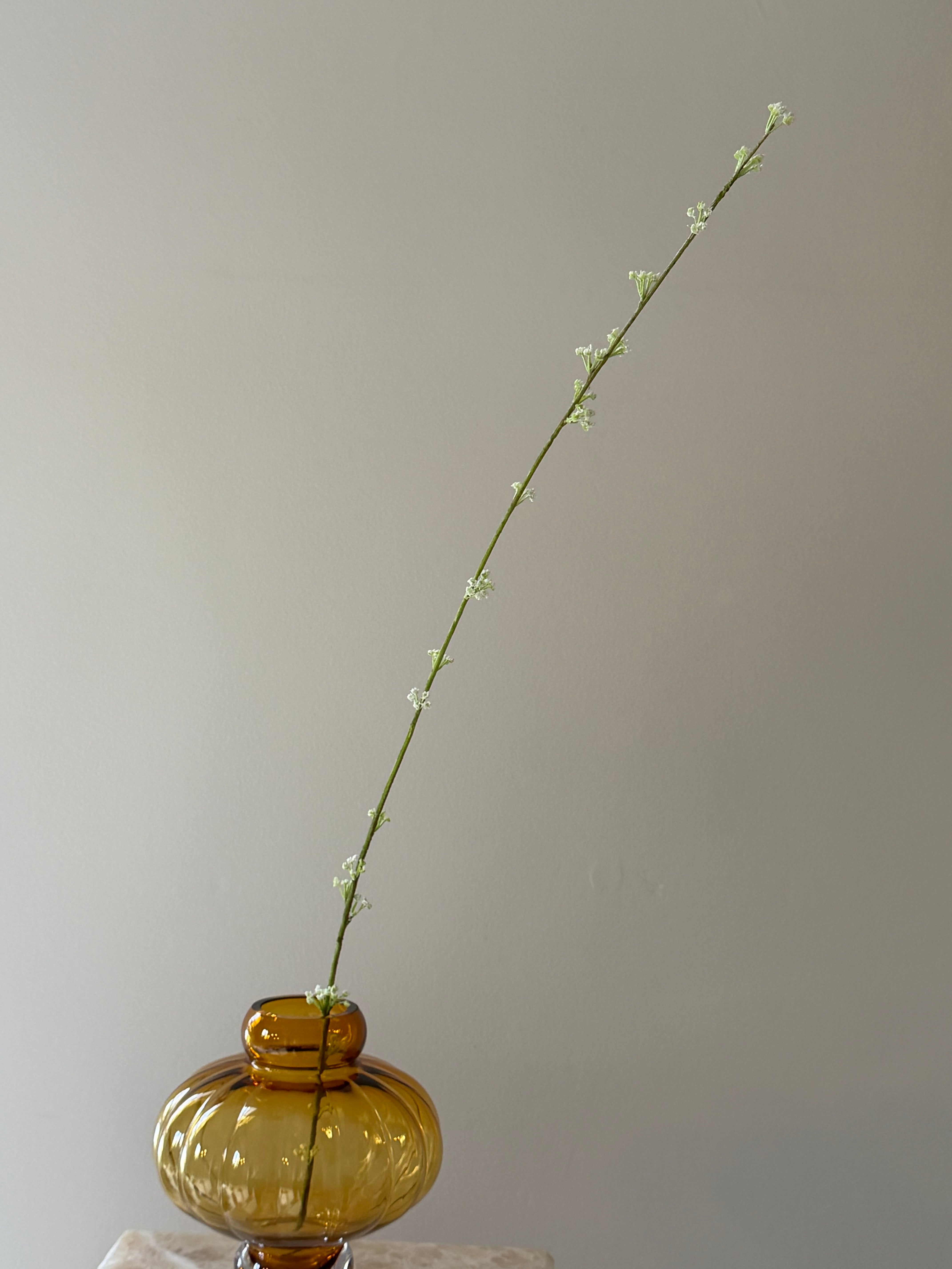 Gren med små hvide blomster