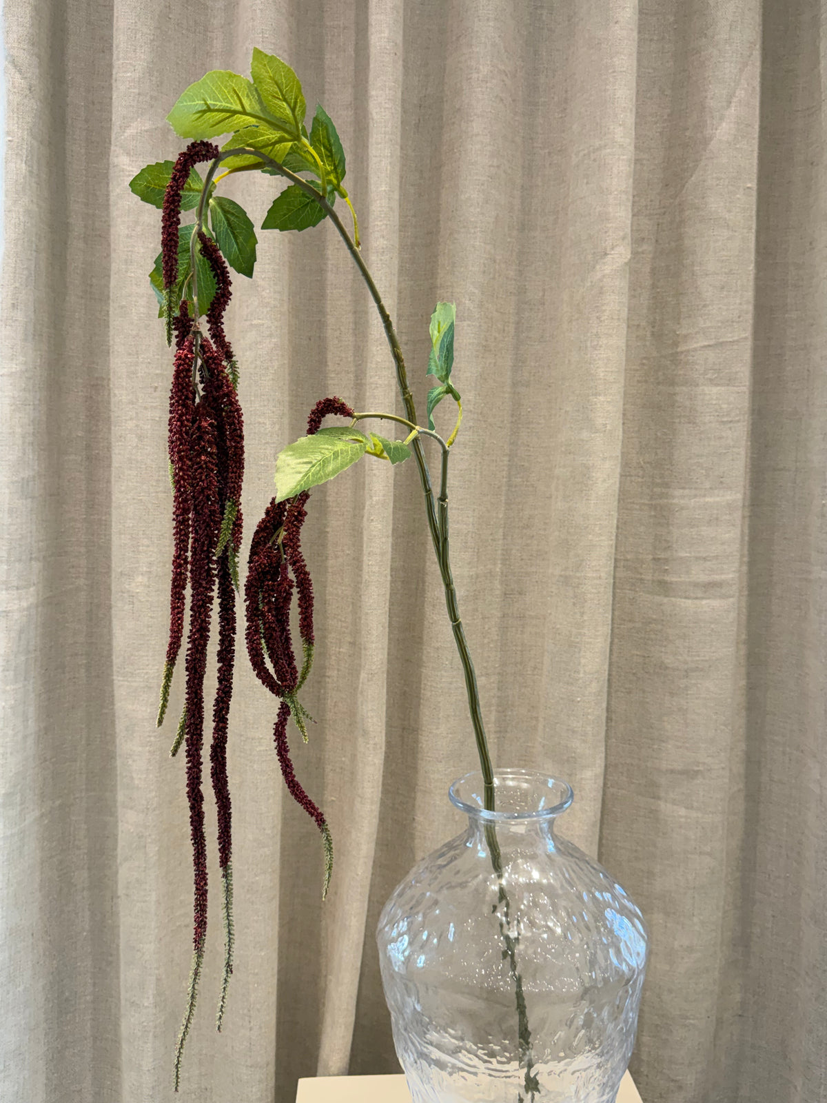 Hænge Amaranthus 85cm Bordeaux
