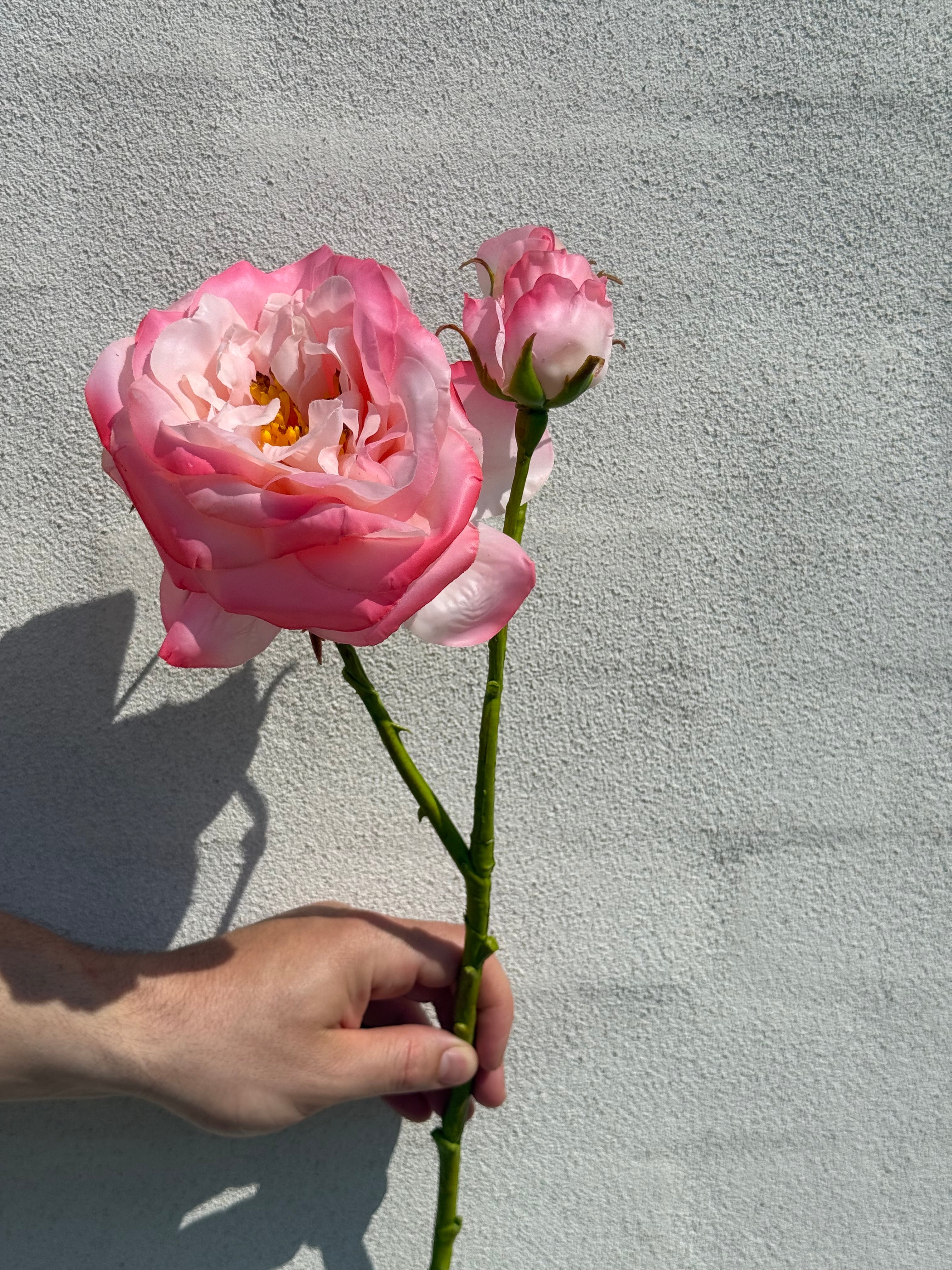 Rose pink