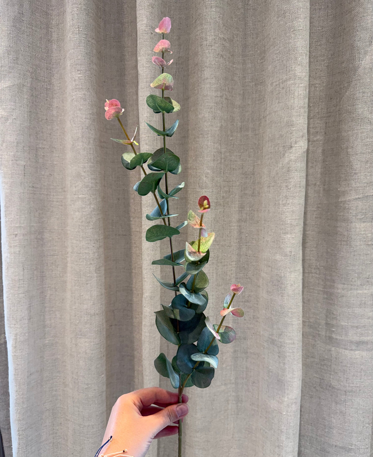 Eucalyptus 2 farvet
