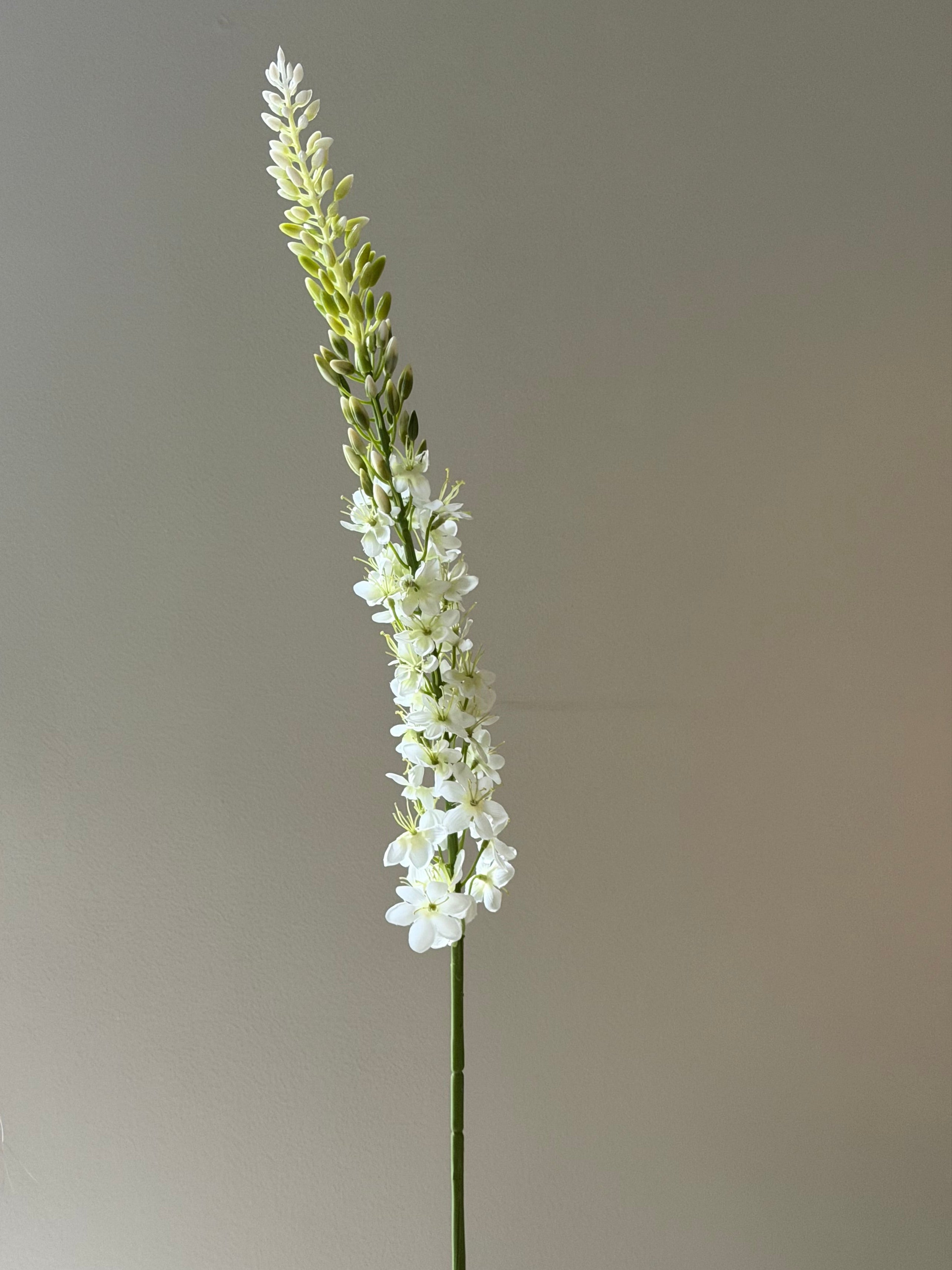 Kleopatras nål White