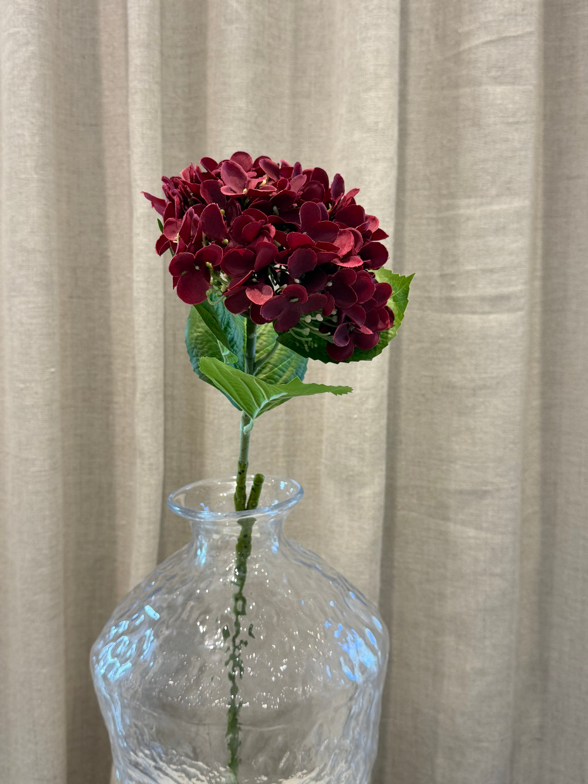 Hortensia Bordeaux H60cm