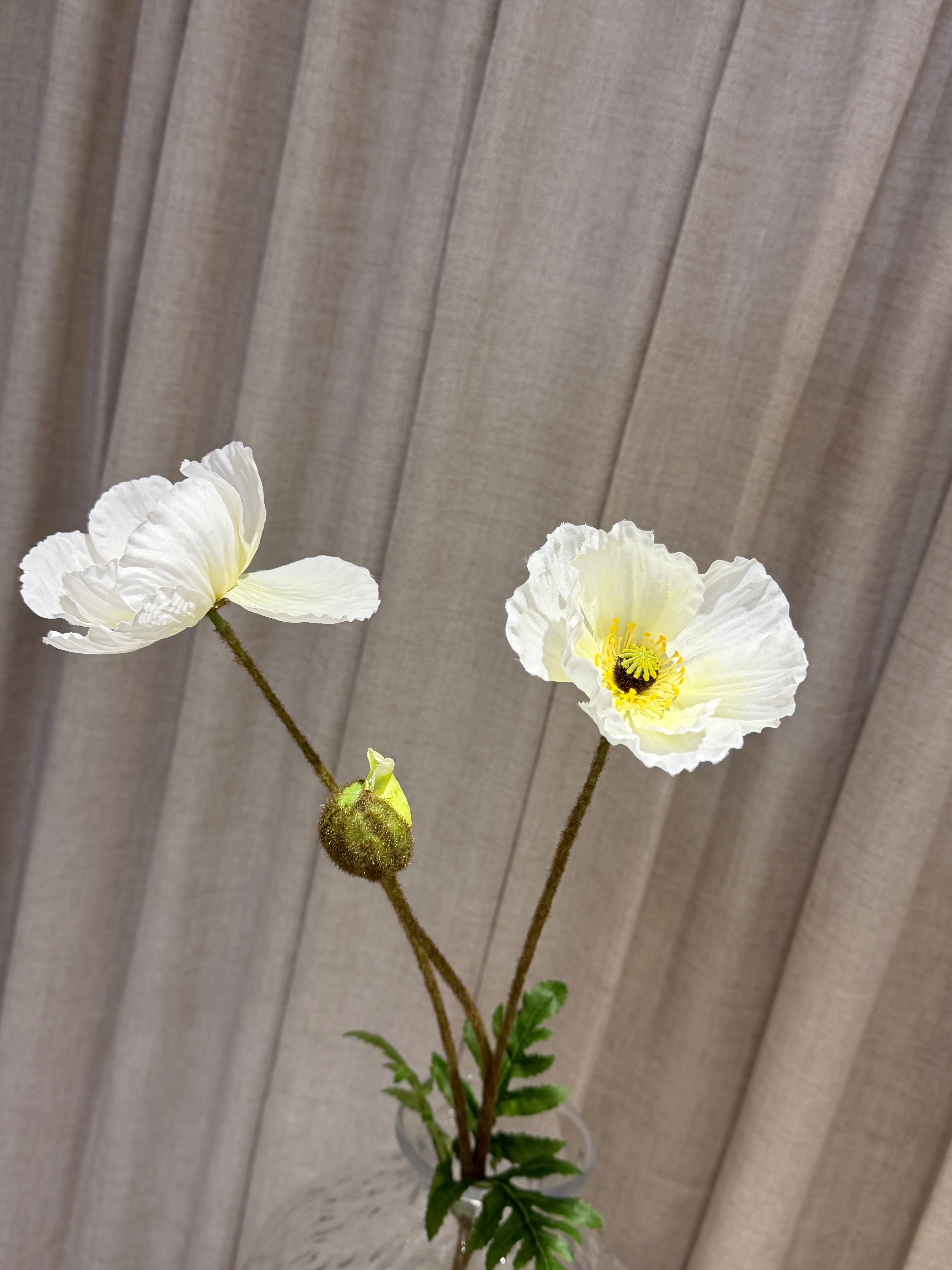 Valmue 80cm