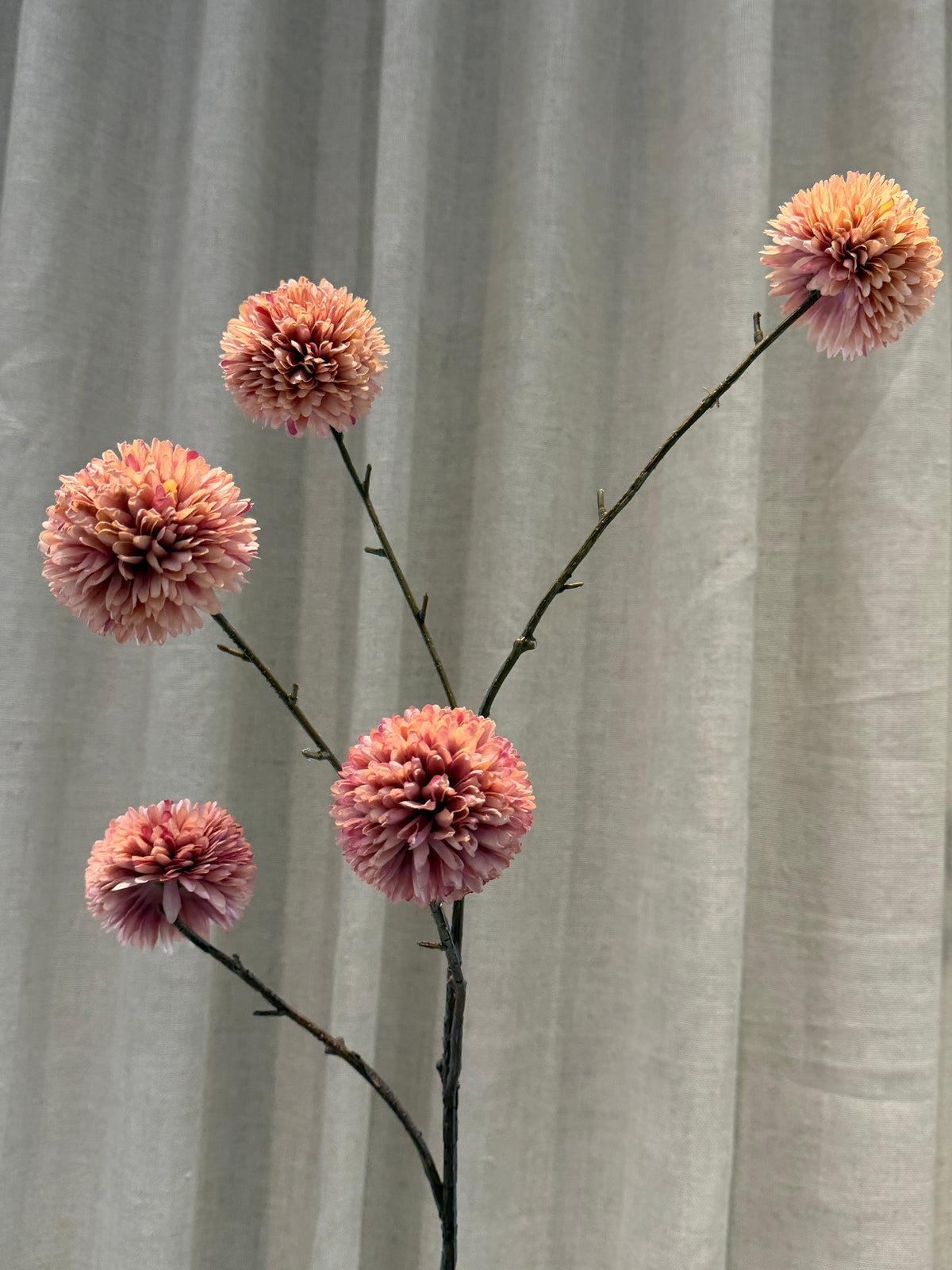 Chrysantheum Gren Rosa H99cm