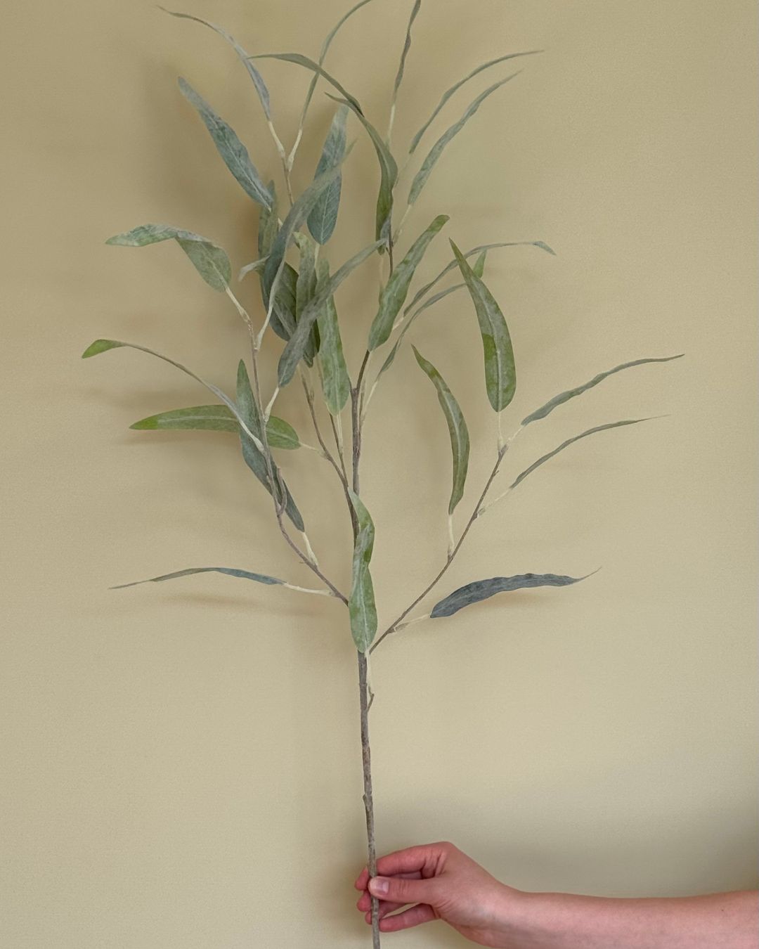 Støvet Grøn Gren - 100 cm
