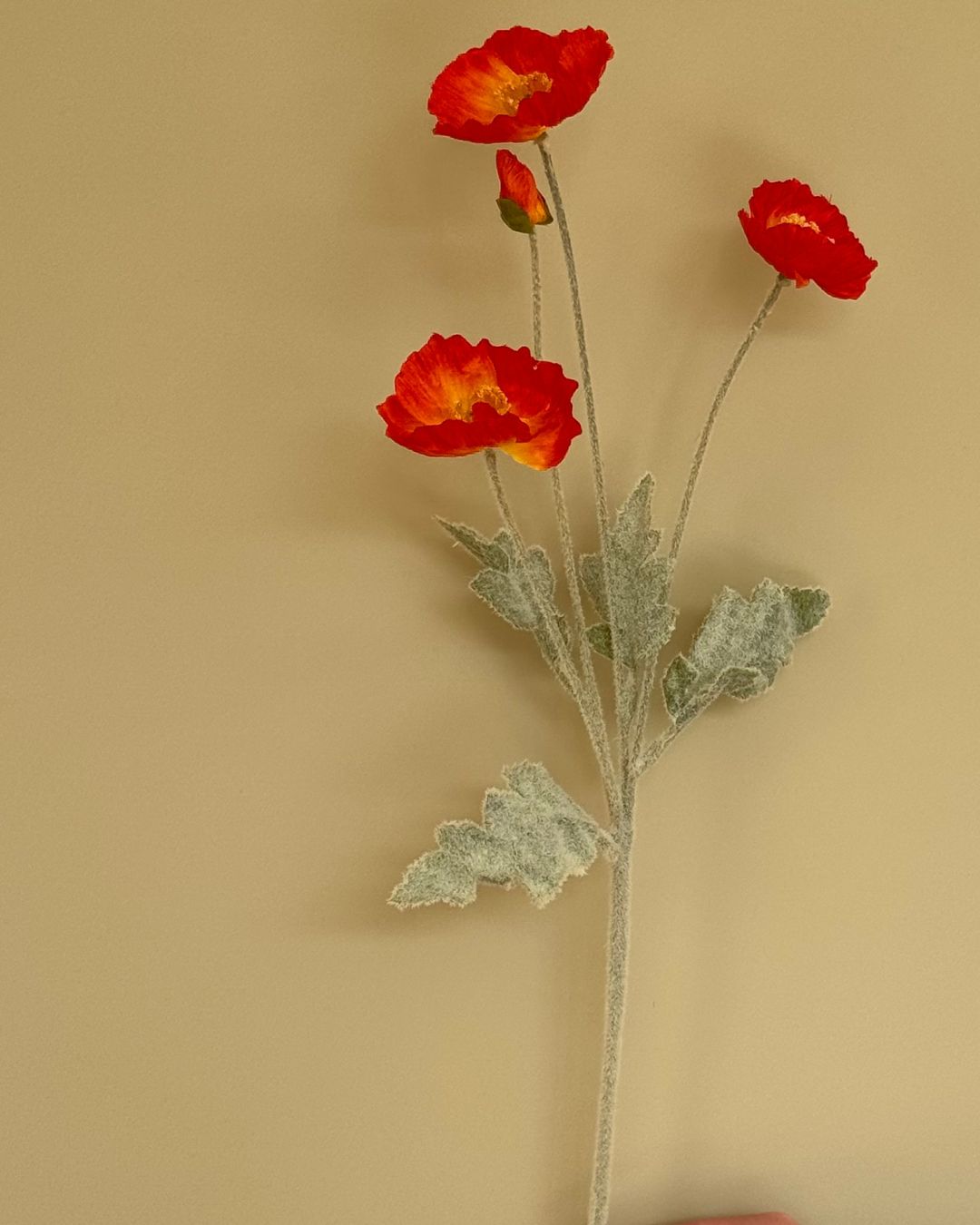 Valmue Orange - 60 cm
