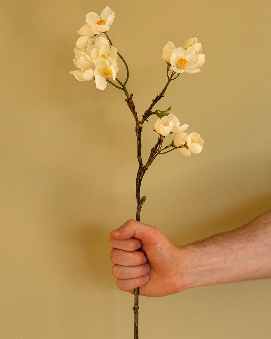 Æbleblomst gren 60 - cm