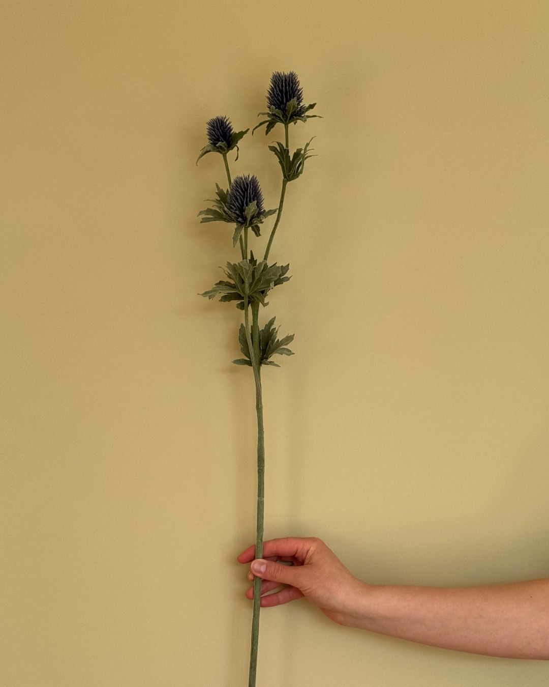 Tidsel - 78 cm